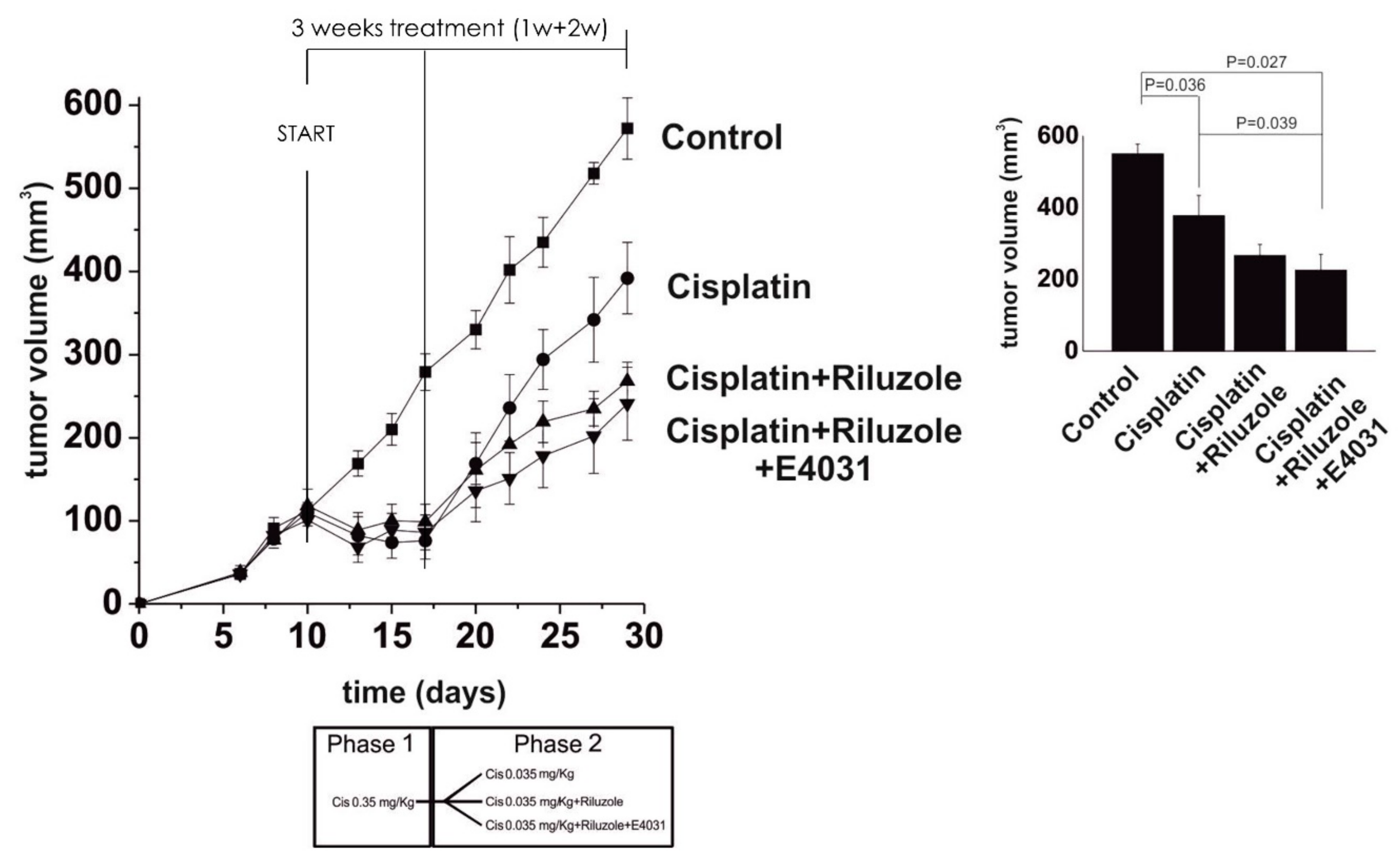 Biomedicines 09 00504 g006