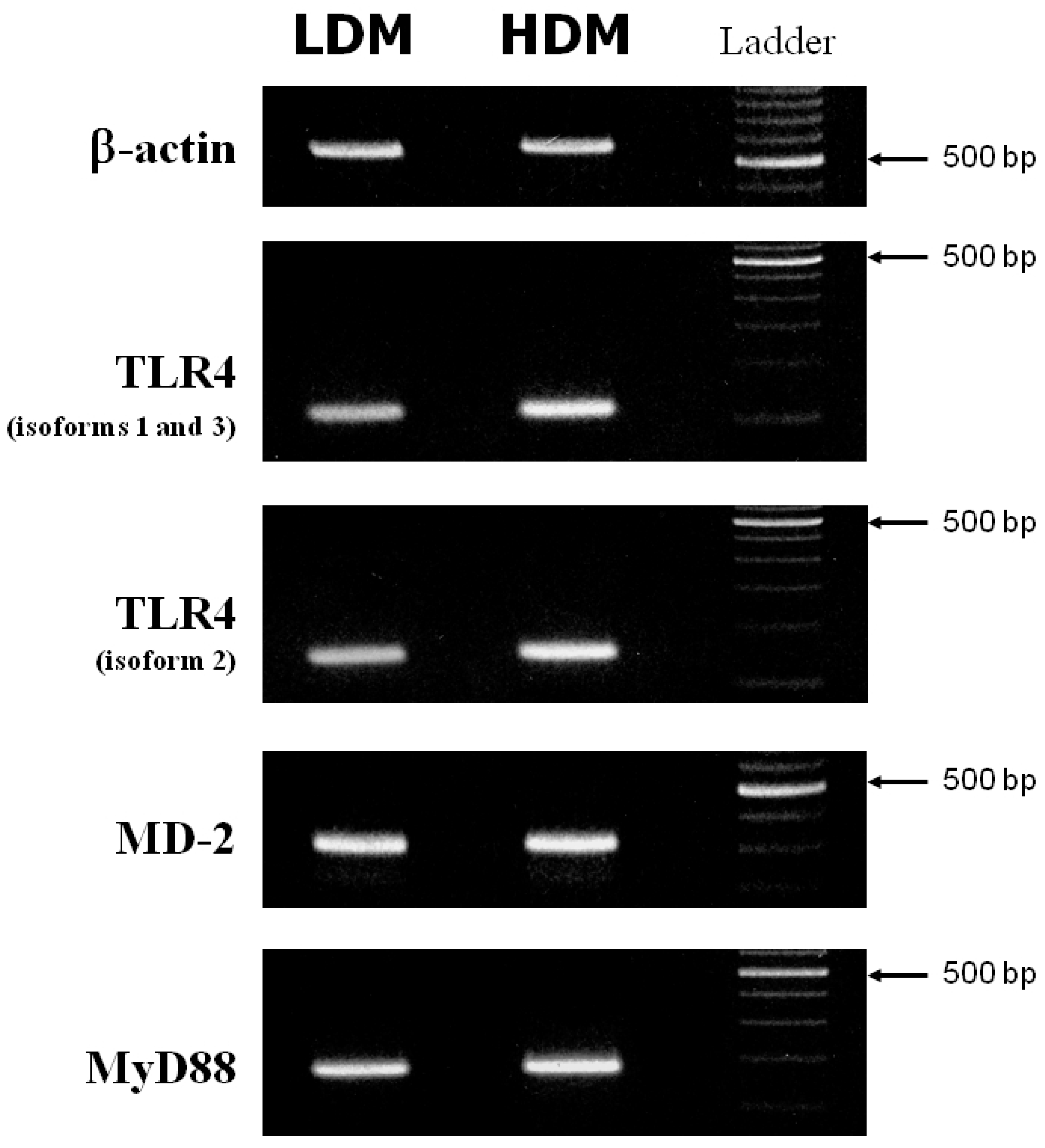 Biomedicines 09 00505 g007 Biomedicines 09 00505 g007