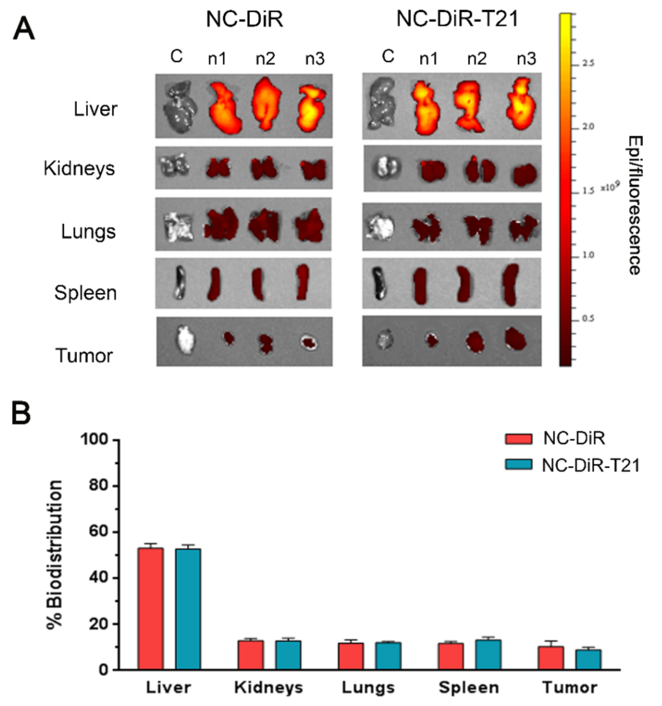 Biomedicines 09 00508 g008