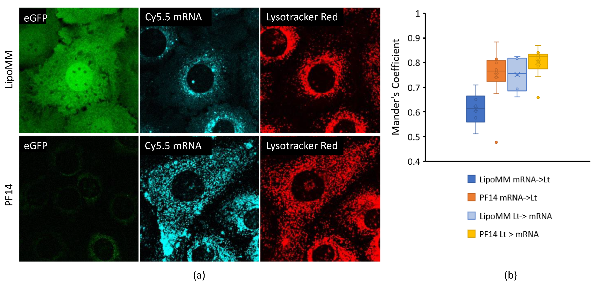 Biomedicines 09 00511 g005