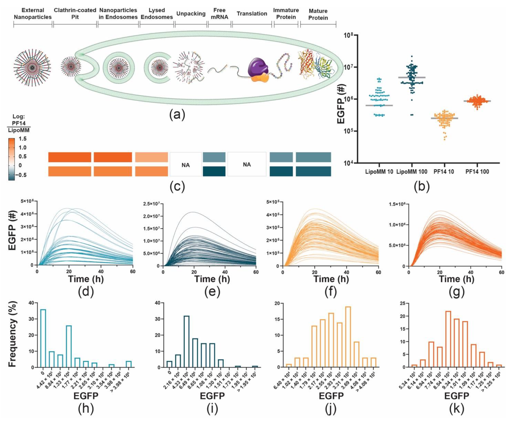 Biomedicines 09 00511 g008