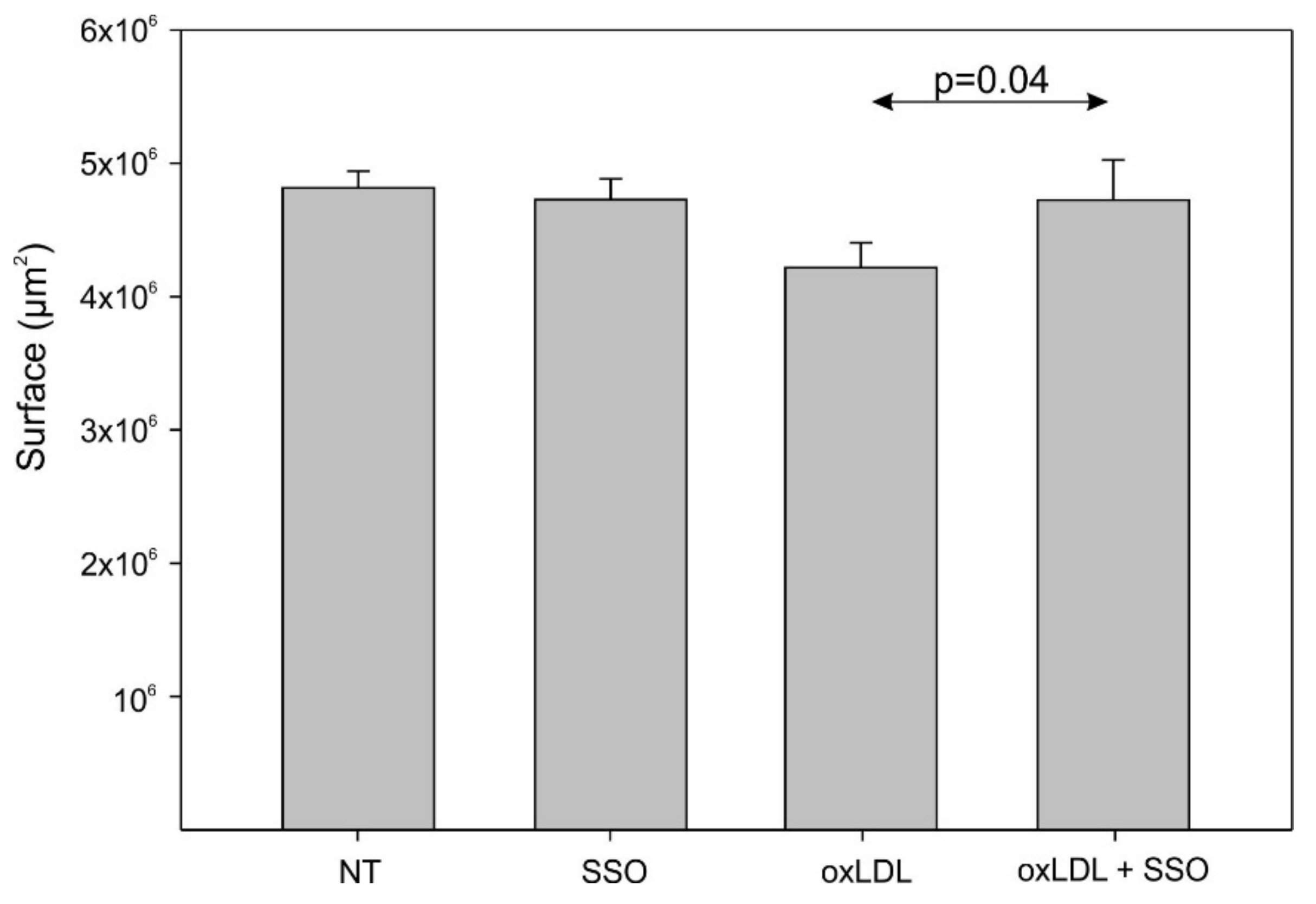 Biomedicines 09 00513 g005 Biomedicines 09 00513 g005