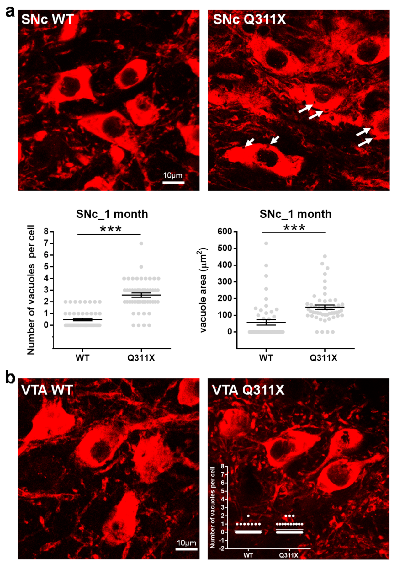 Biomedicines 09 00514 g004