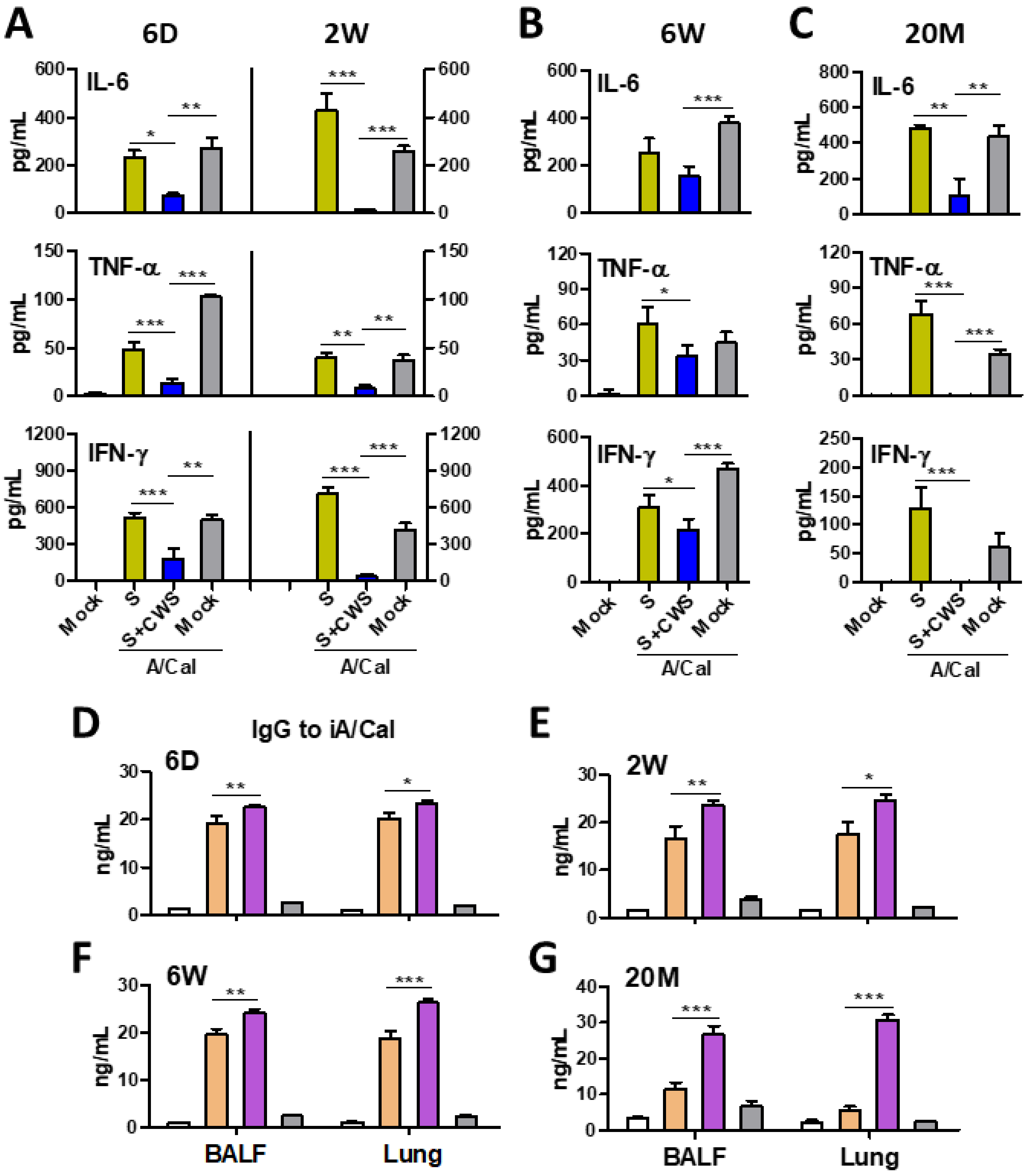 Biomedicines 09 00516 g006 Biomedicines 09 00516 g006
