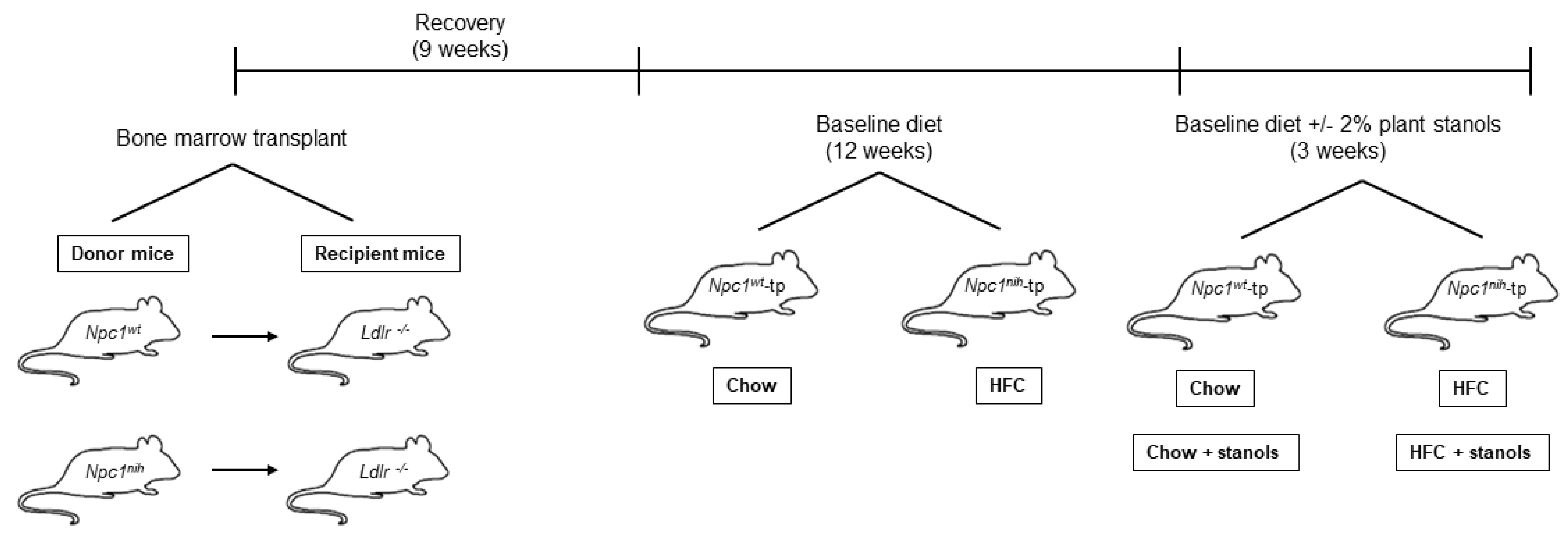 Biomedicines 09 00518 g001 Biomedicines 09 00518 g001