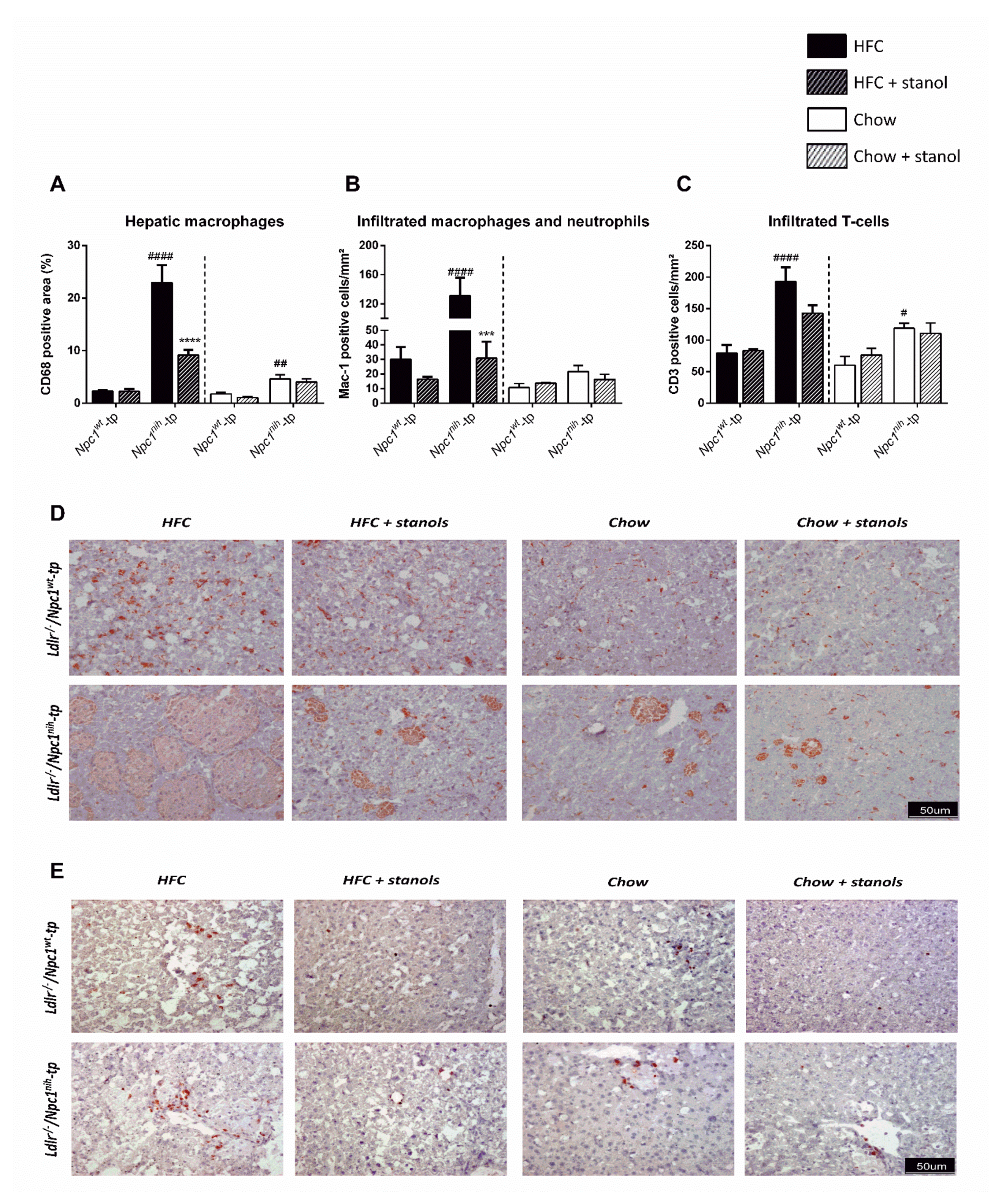 Biomedicines 09 00518 g005 Biomedicines 09 00518 g005