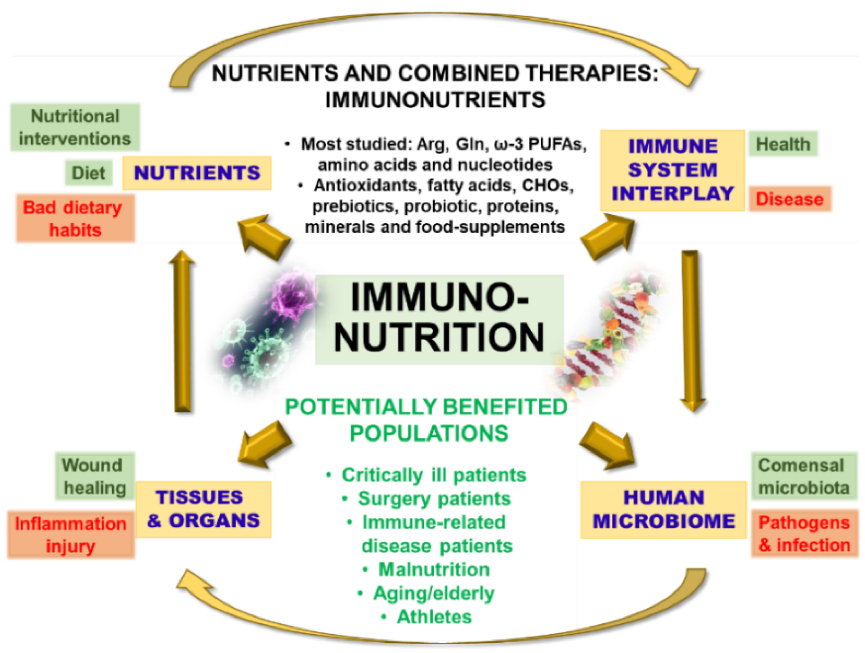 Biomedicines | Free Full-Text | NOD1-Targeted Immunonutrition Approaches:  On the Way from Disease to Health | HTML