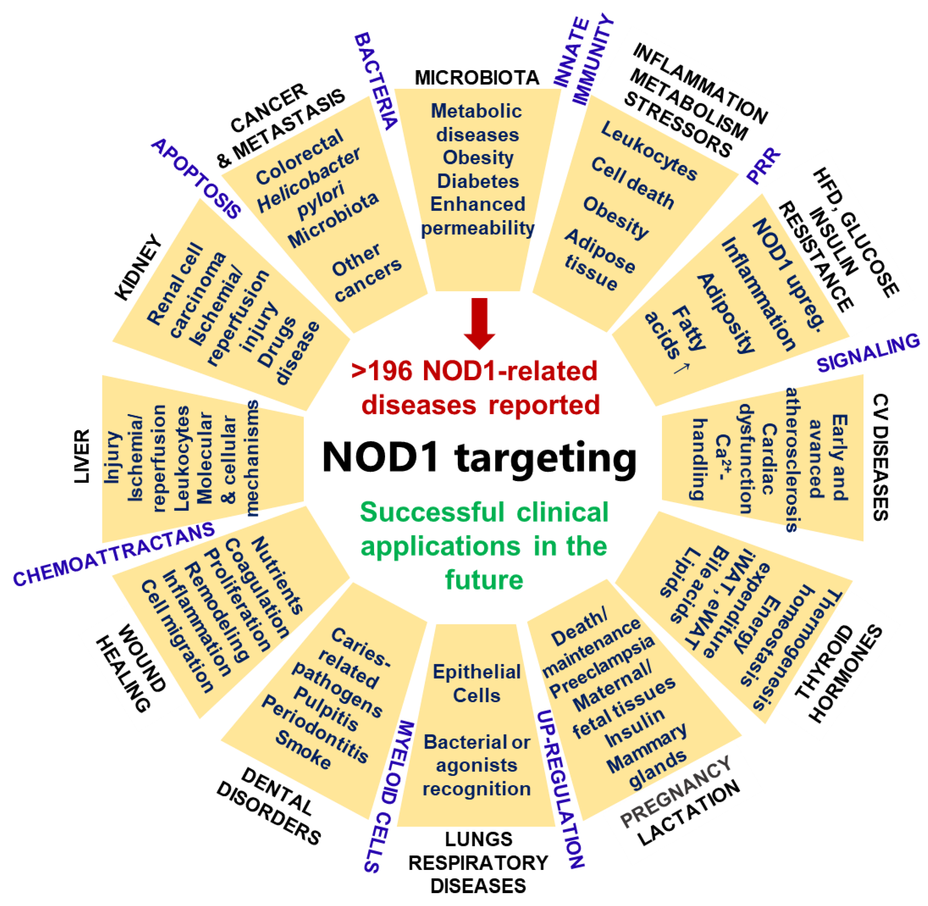 Biomedicines 09 00519 g003 Biomedicines 09 00519 g003