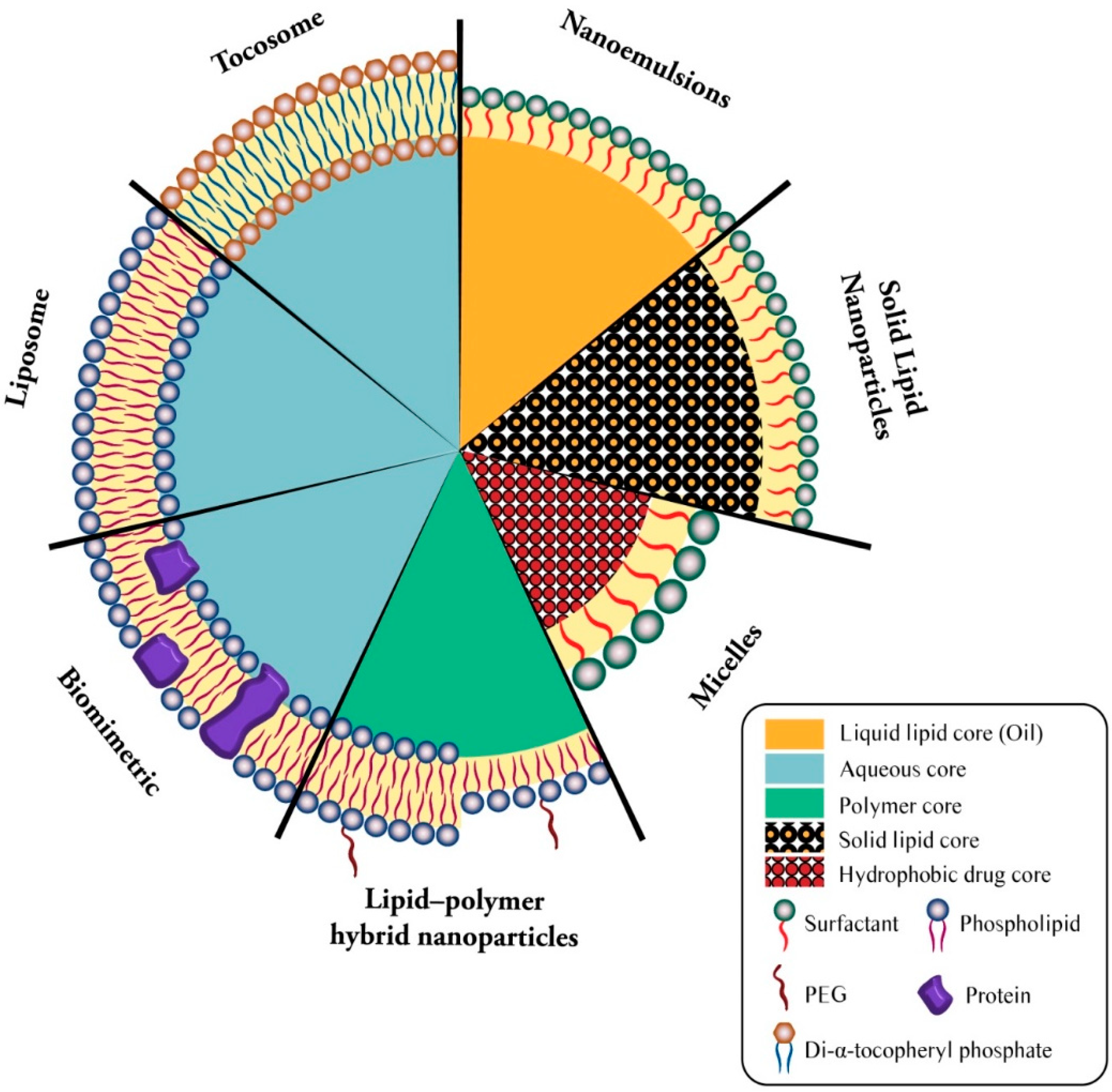 Biomedicines 09 00520 g002