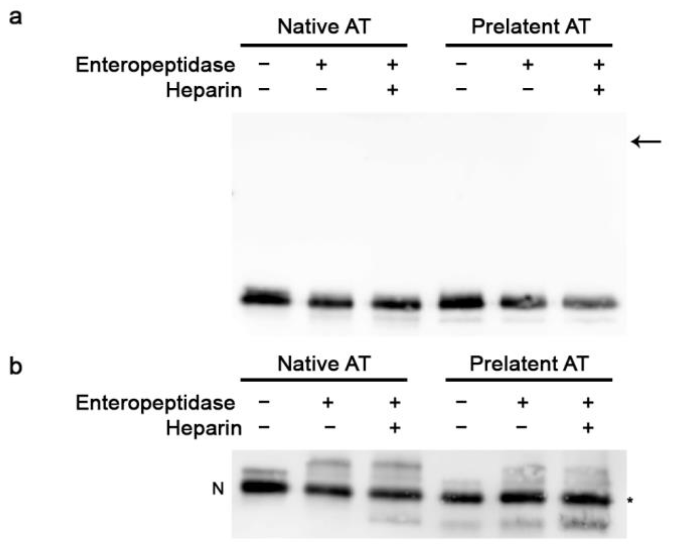 Biomedicines 09 00523 g001 Biomedicines 09 00523 g001