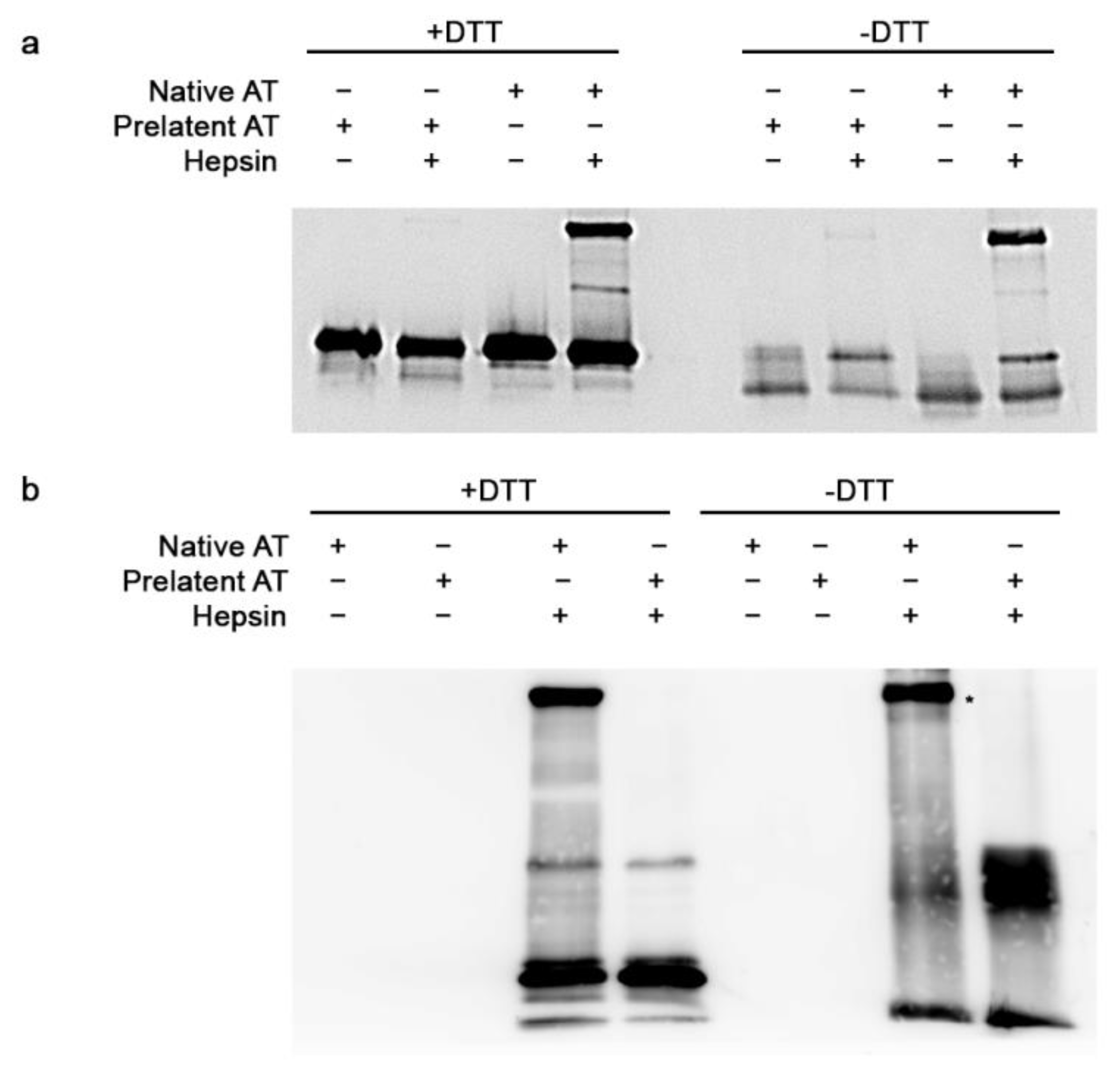 Biomedicines 09 00523 g002 Biomedicines 09 00523 g002