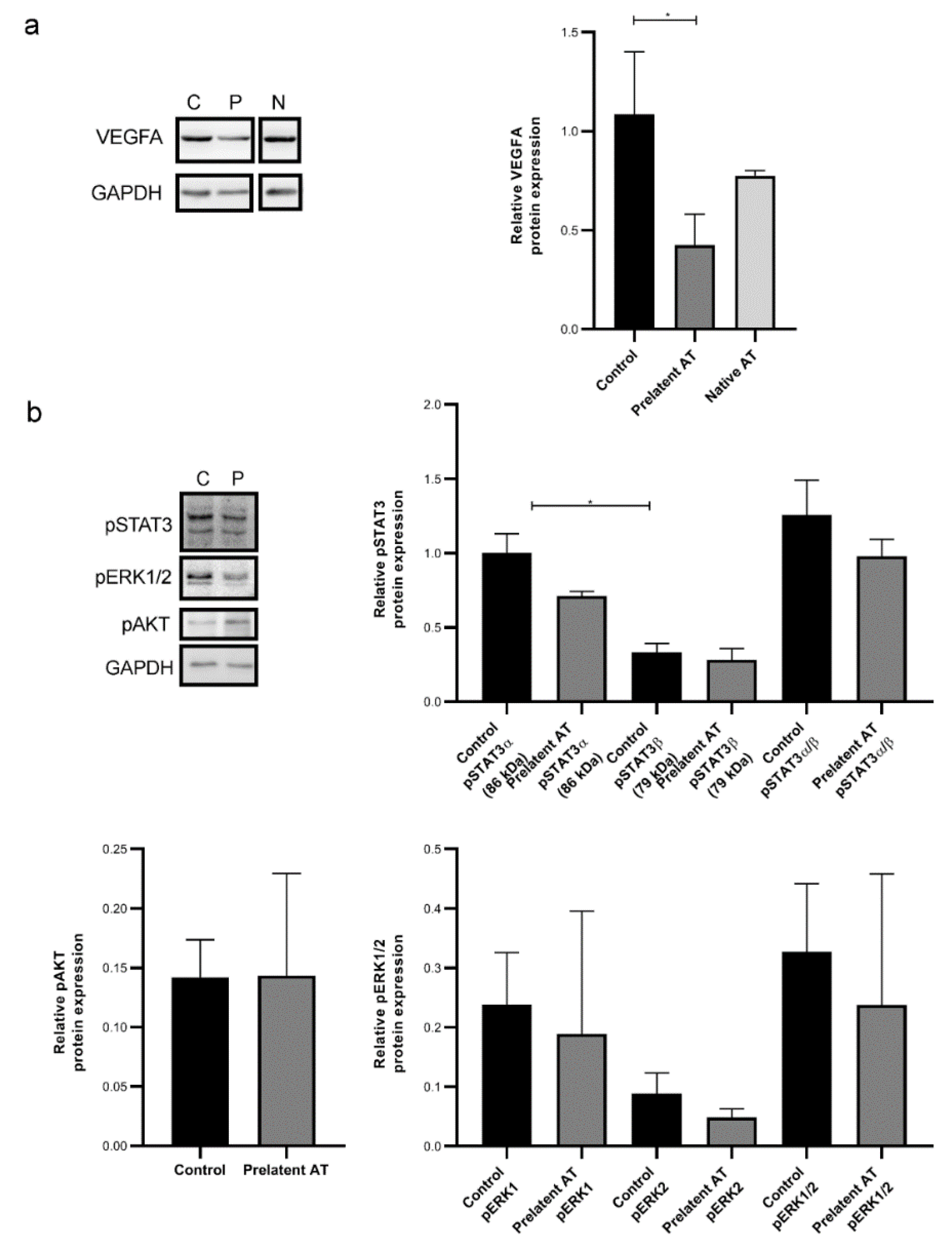 Biomedicines 09 00523 g005 Biomedicines 09 00523 g005