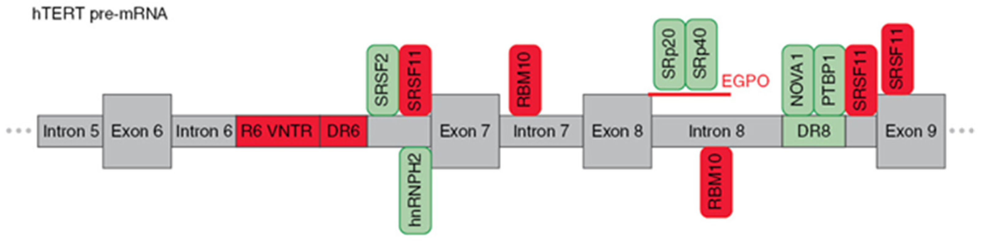 Biomedicines 09 00526 g003 Biomedicines 09 00526 g003