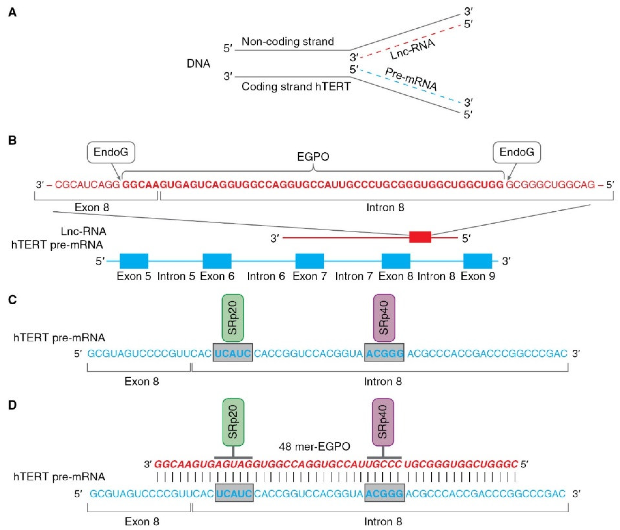 Biomedicines 09 00526 g004 Biomedicines 09 00526 g004