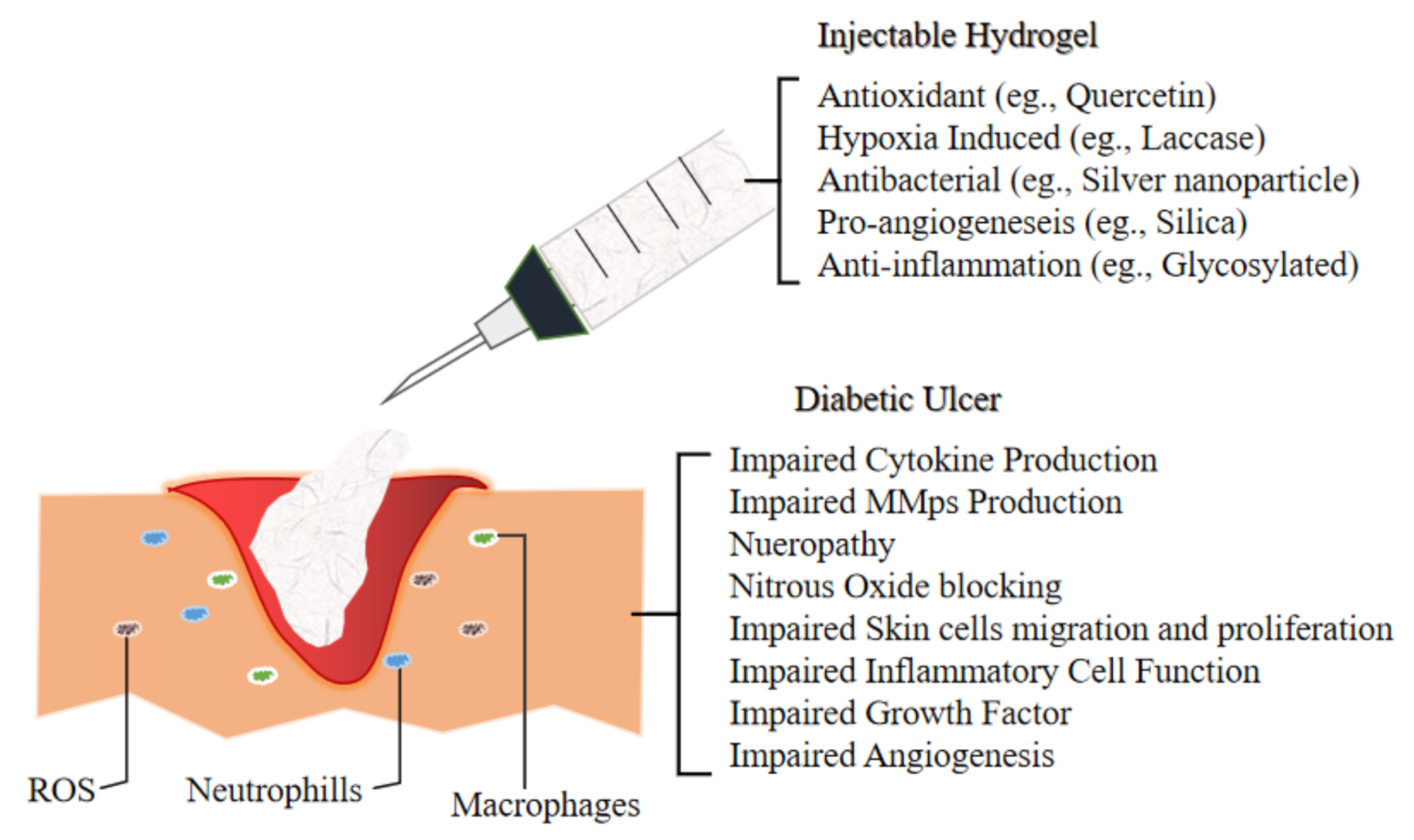 Biomedicines 09 00527 g003
