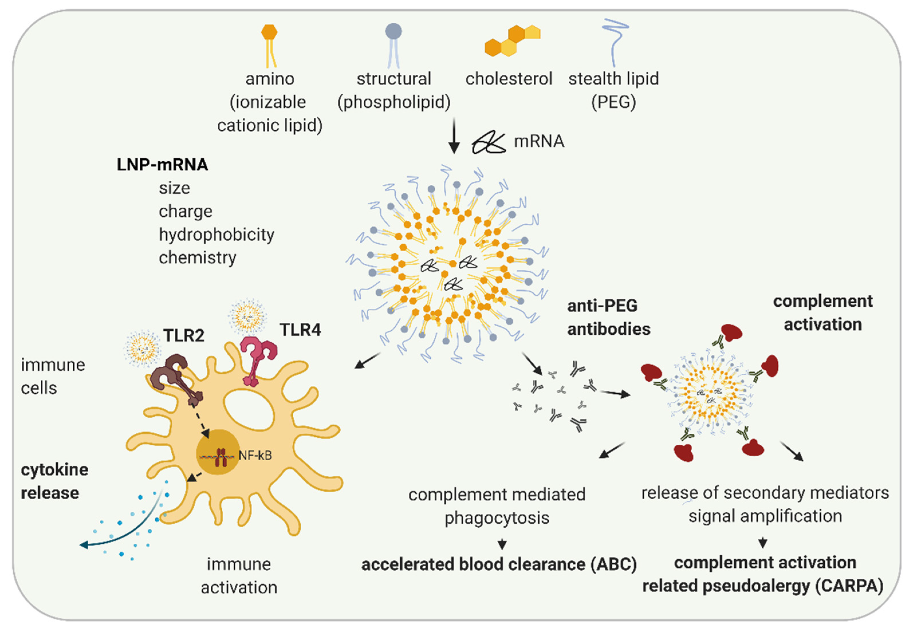Biomedicines 09 00530 g002
