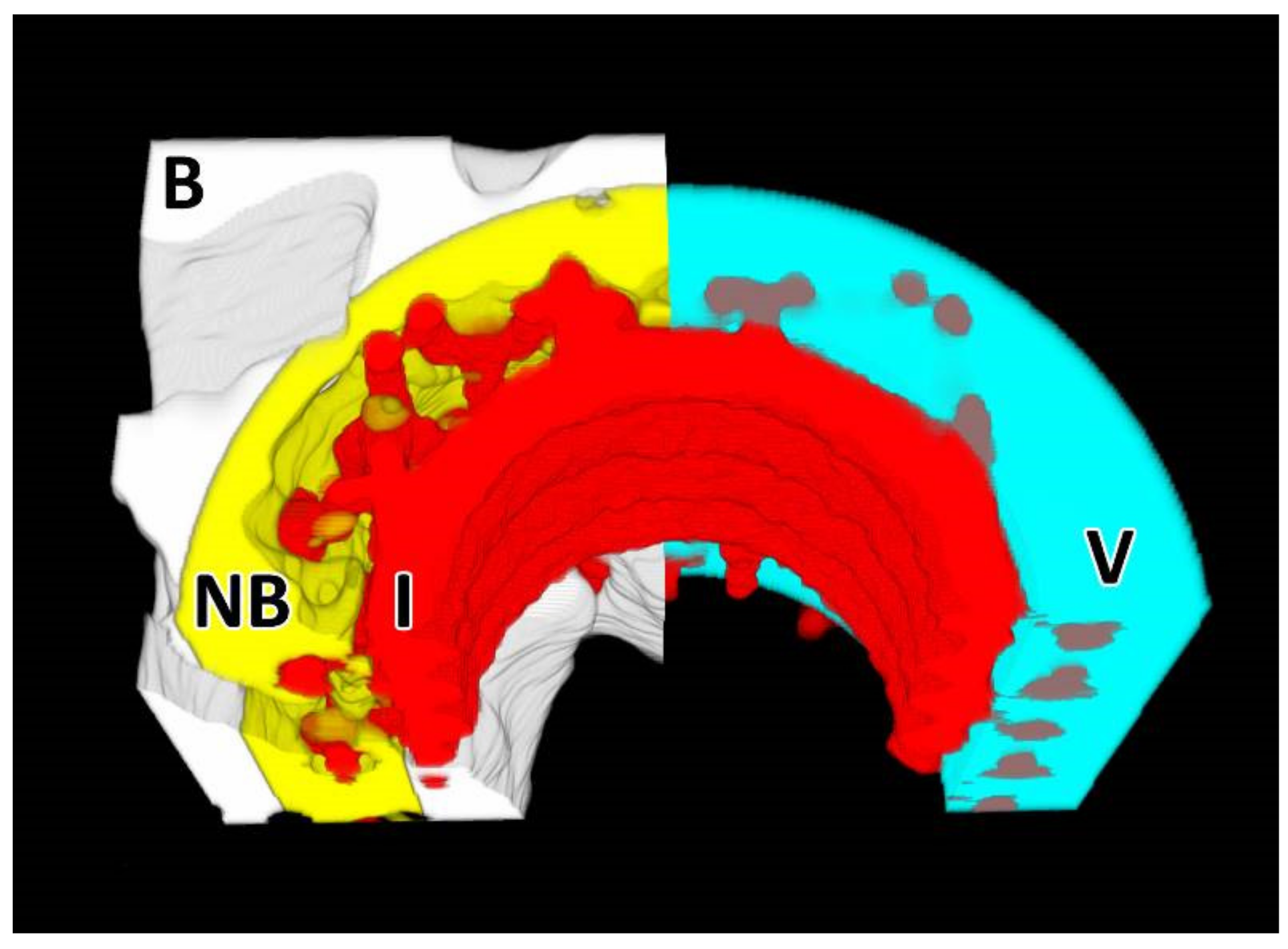 Biomedicines 09 00531 g002 Biomedicines 09 00531 g002