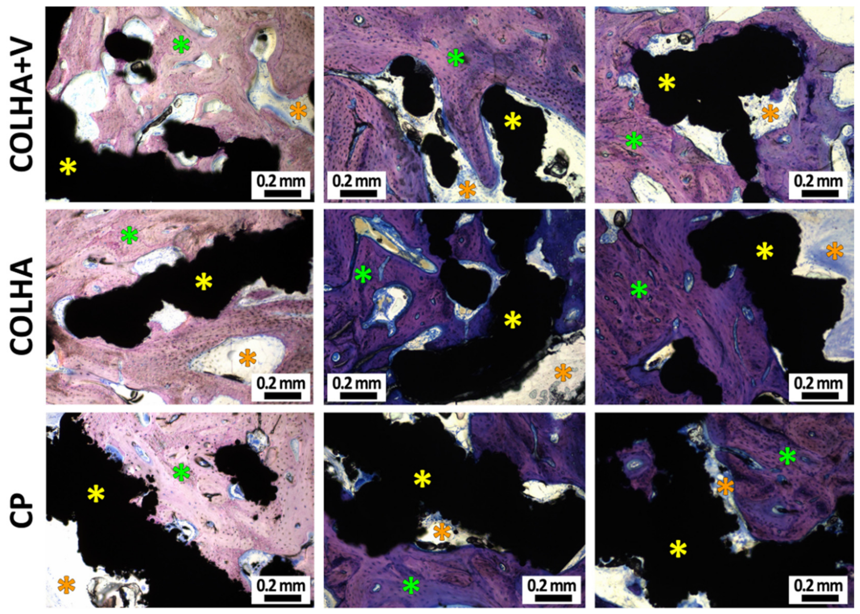 Biomedicines 09 00531 g008 Biomedicines 09 00531 g008