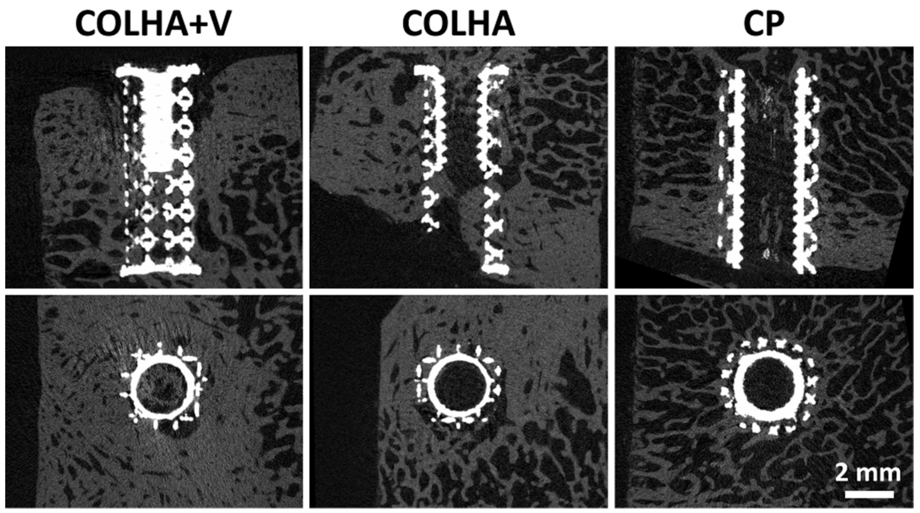 Biomedicines 09 00531 g009 Biomedicines 09 00531 g009