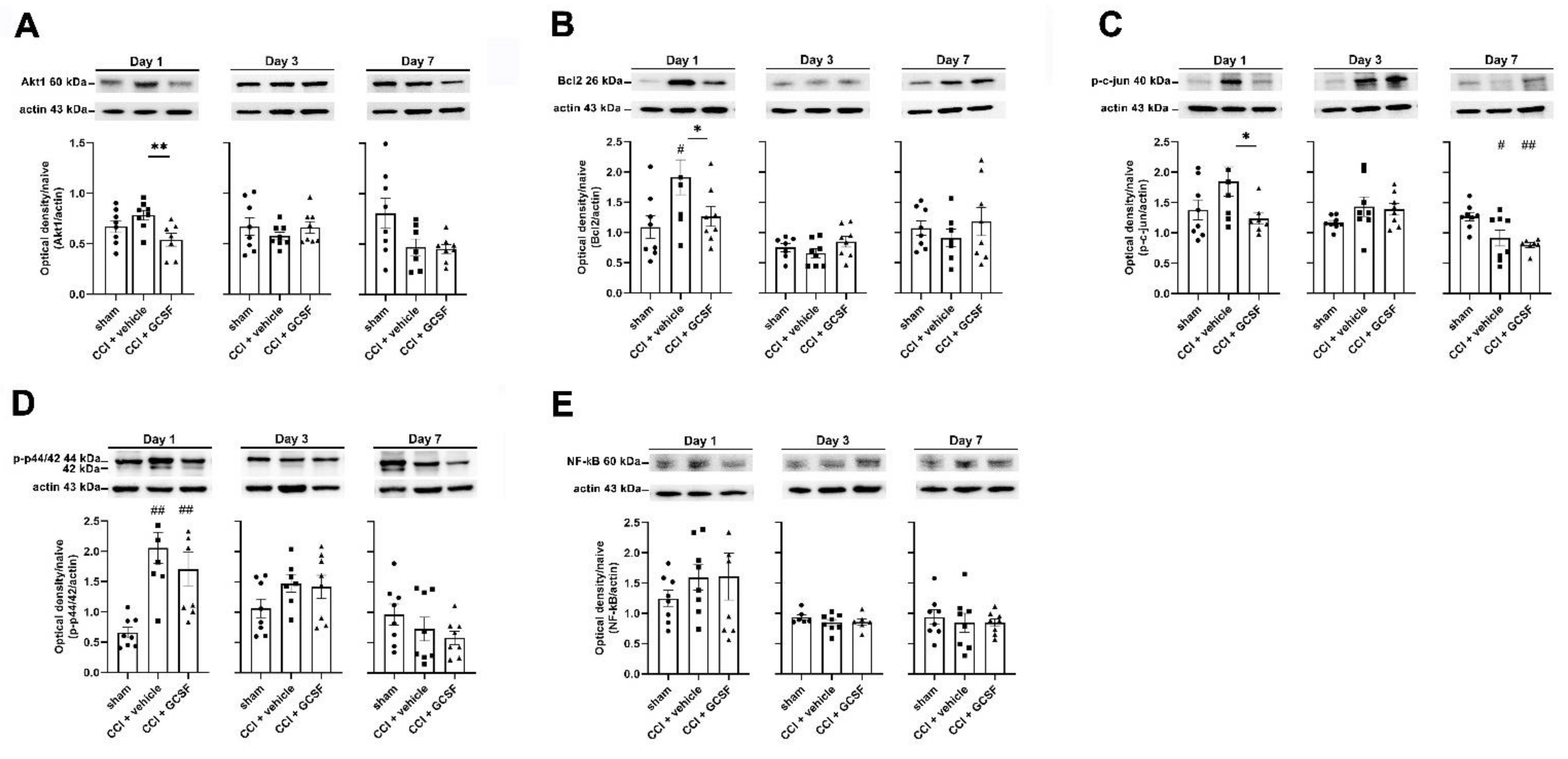 Biomedicines 09 00542 g002