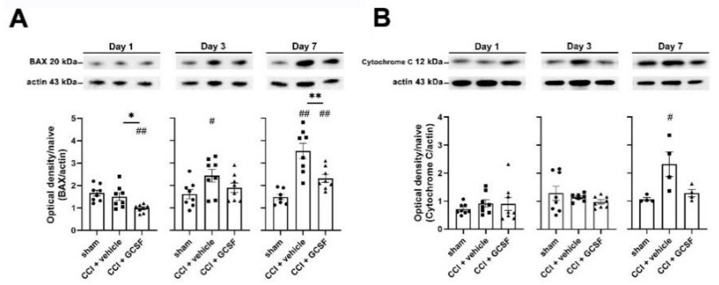 Biomedicines 09 00542 g005