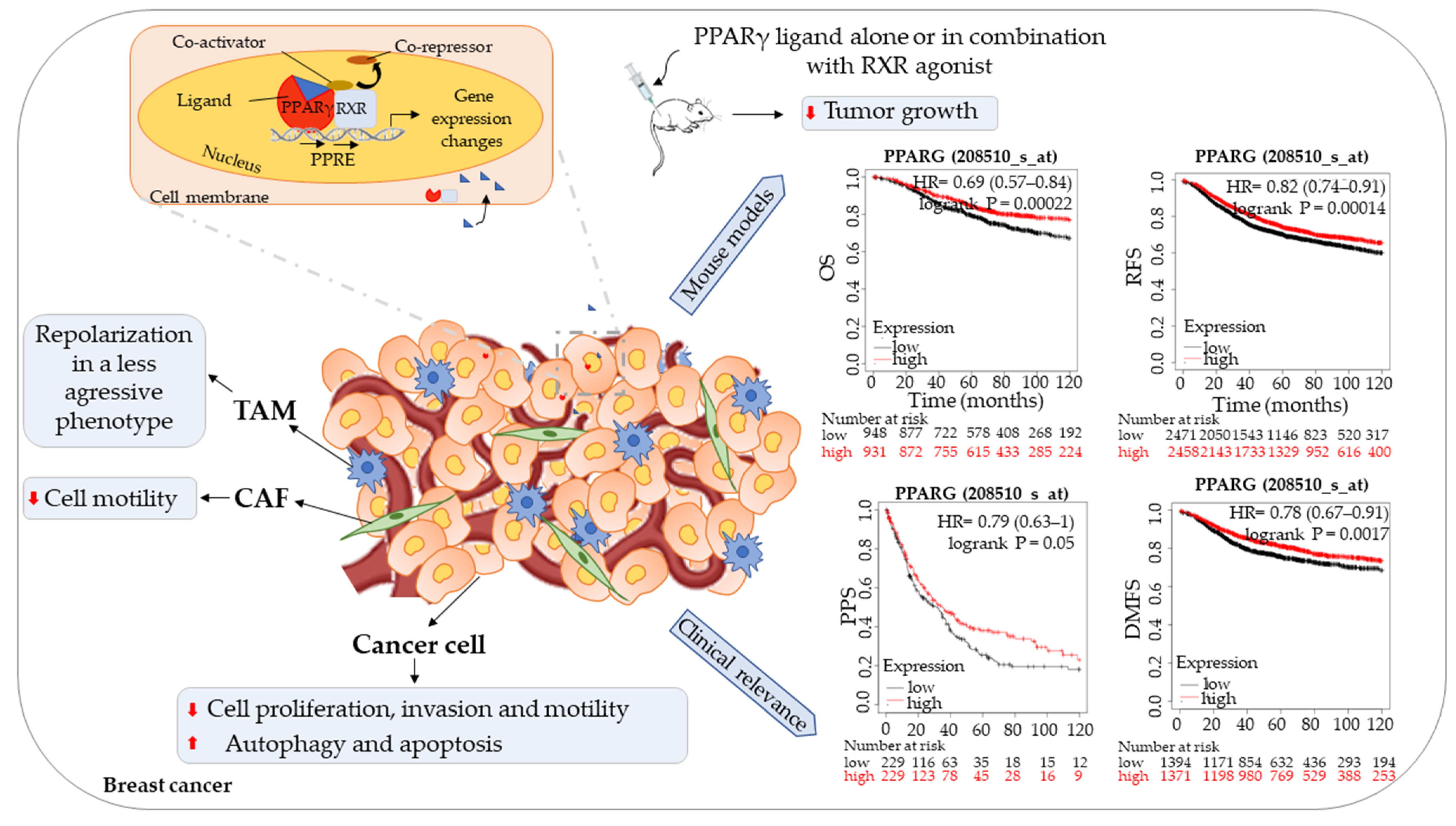 Biomedicines 09 00543 g001