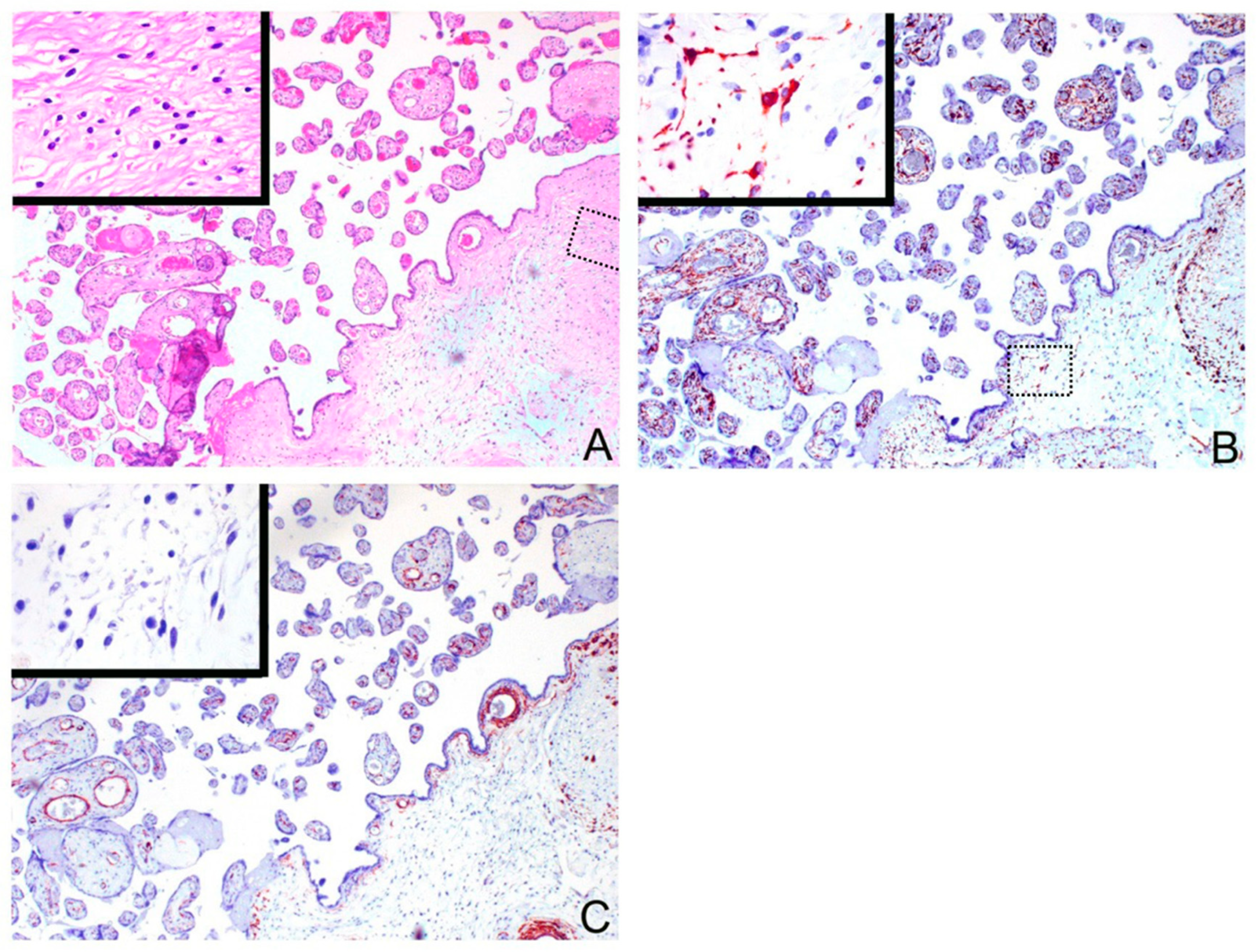 Biomedicines 09 00544 g002
