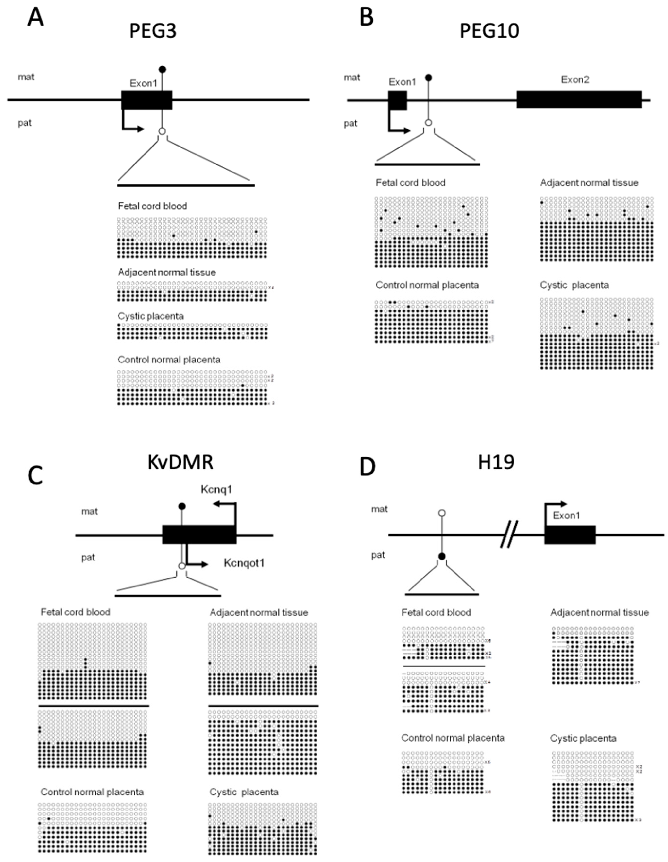 Biomedicines 09 00544 g003