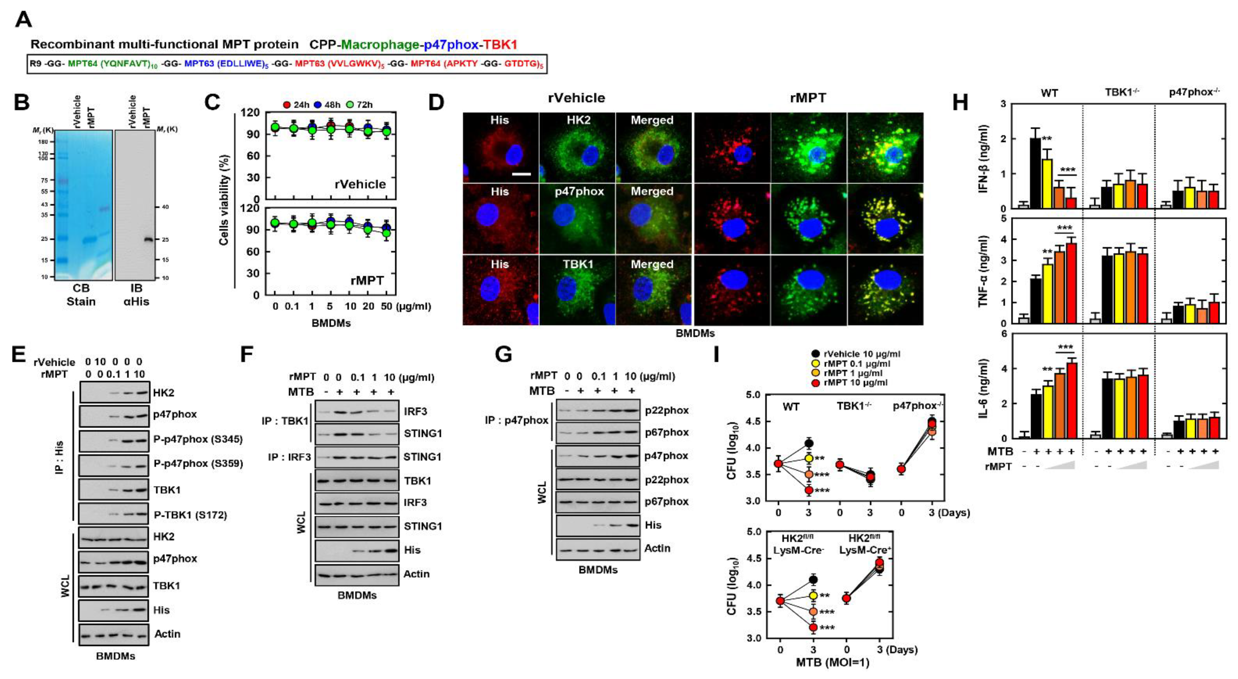 Biomedicines 09 00545 g006