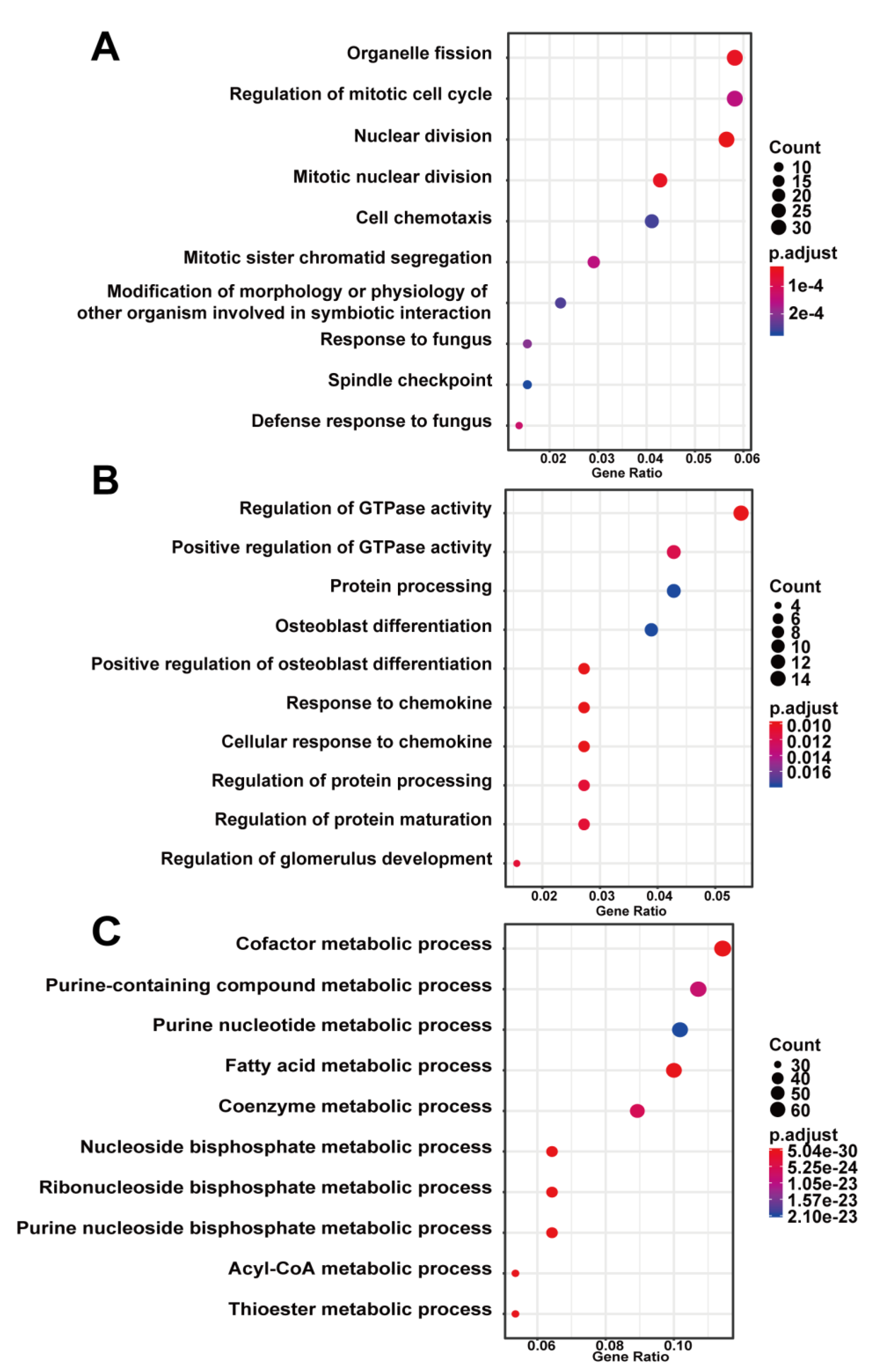 Biomedicines 09 00546 g004 Biomedicines 09 00546 g004