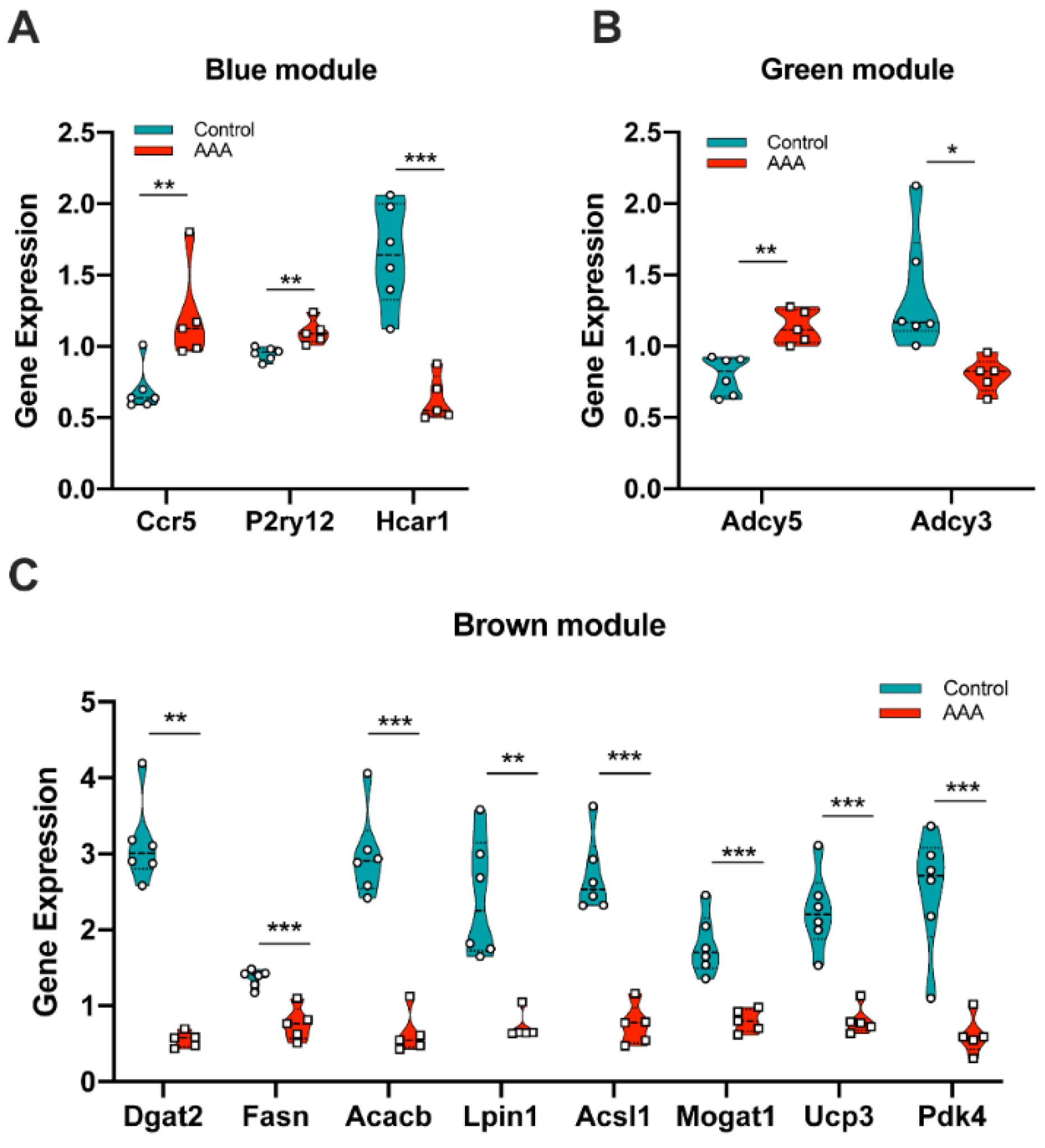 Biomedicines 09 00546 g006 Biomedicines 09 00546 g006