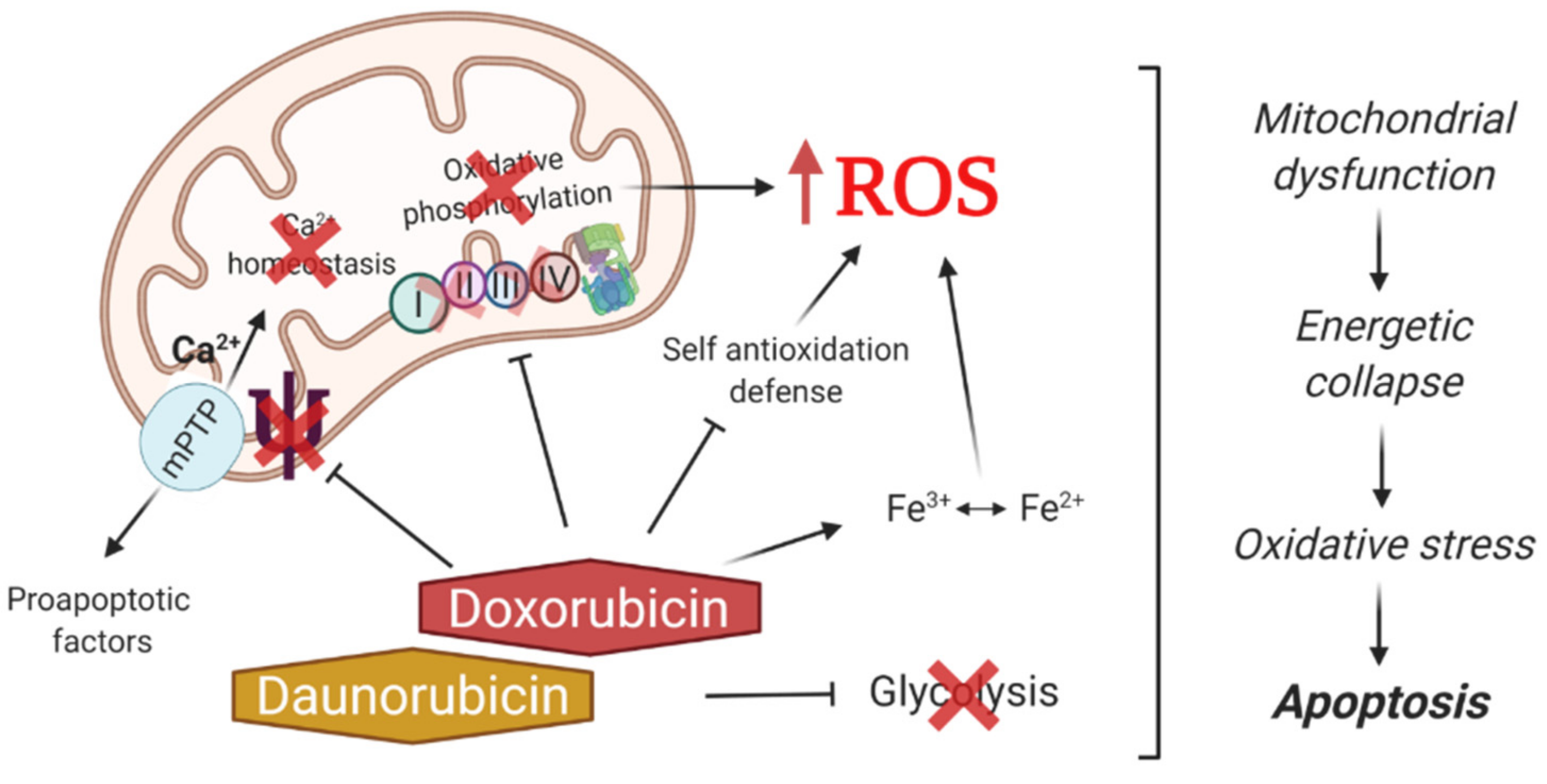 Biomedicines 09 00547 g001 Biomedicines 09 00547 g001
