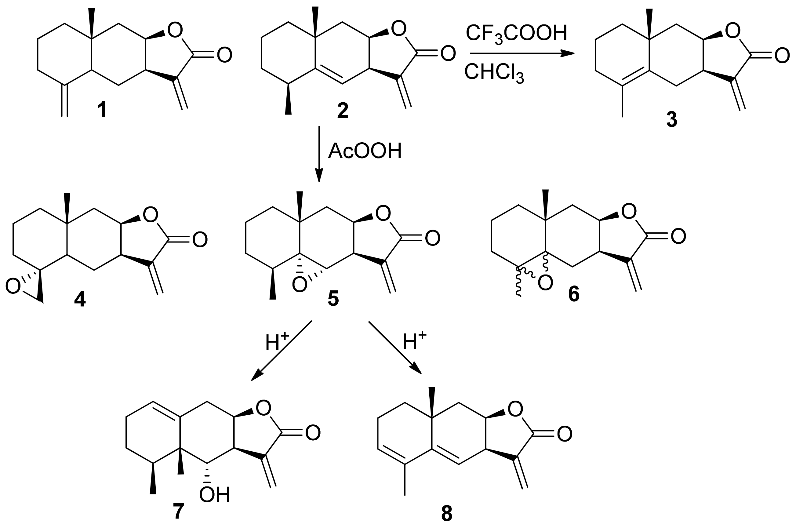 Biomedicines 09 00547 g002 Biomedicines 09 00547 g002