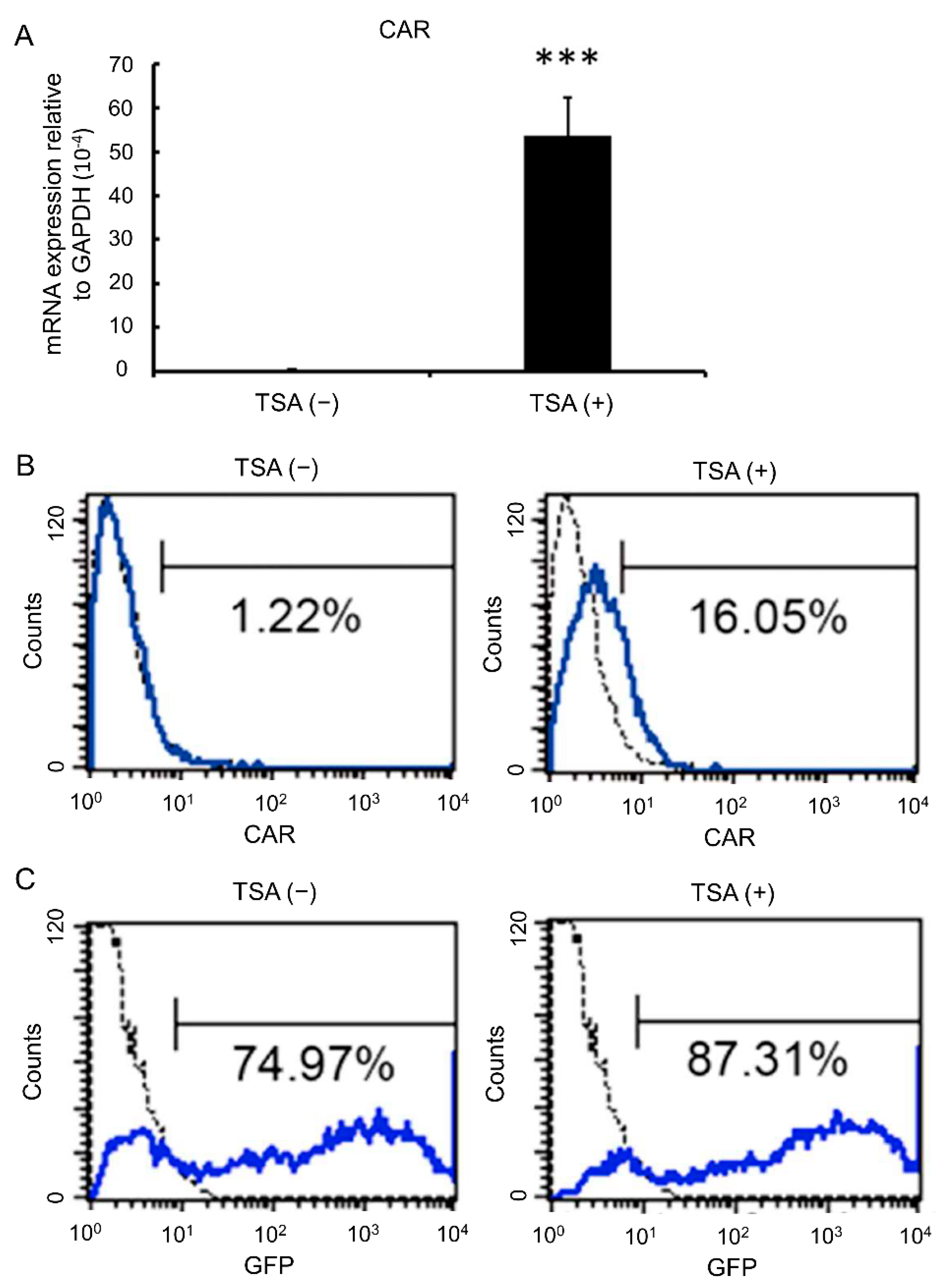 Biomedicines 09 00548 g002 Biomedicines 09 00548 g002