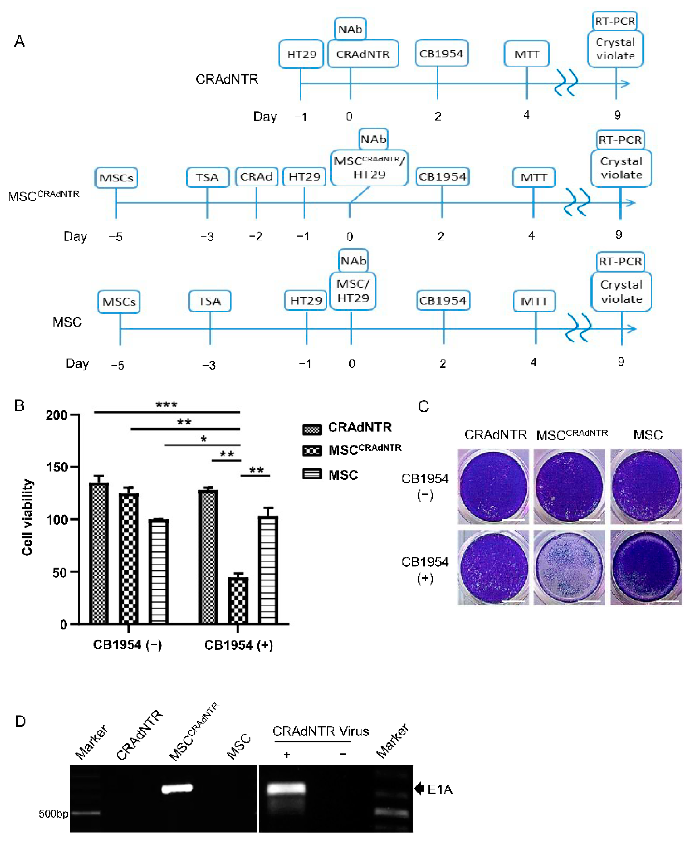 Biomedicines 09 00548 g003 Biomedicines 09 00548 g003