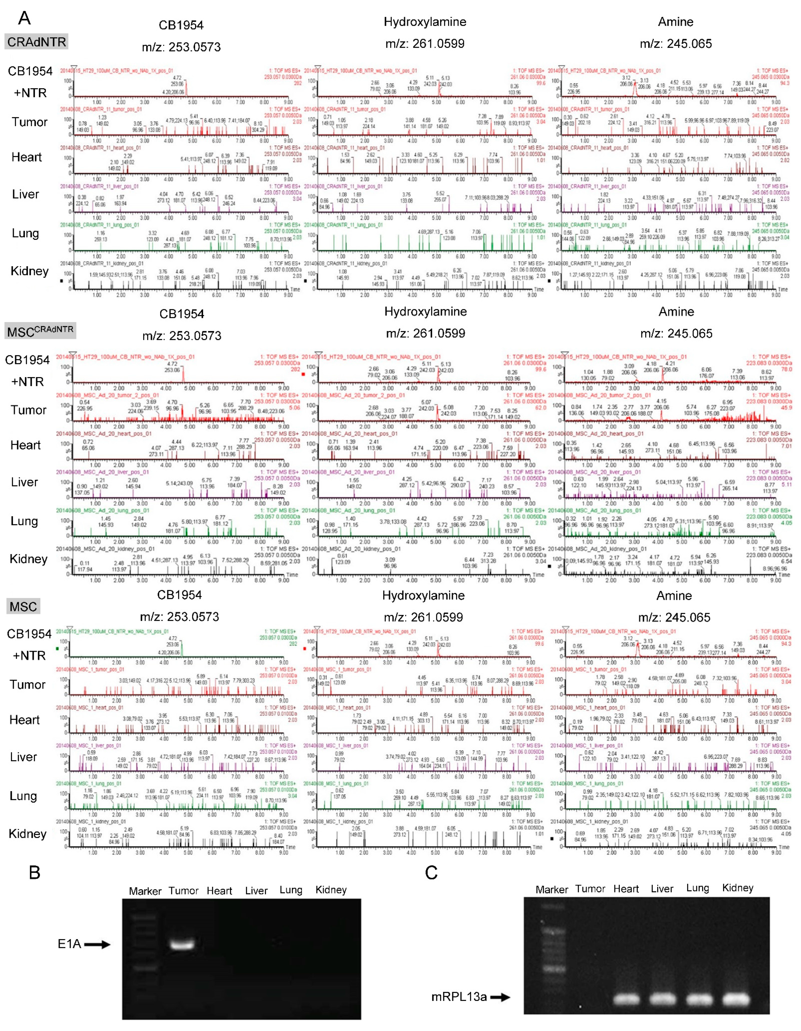 Biomedicines 09 00548 g006 Biomedicines 09 00548 g006