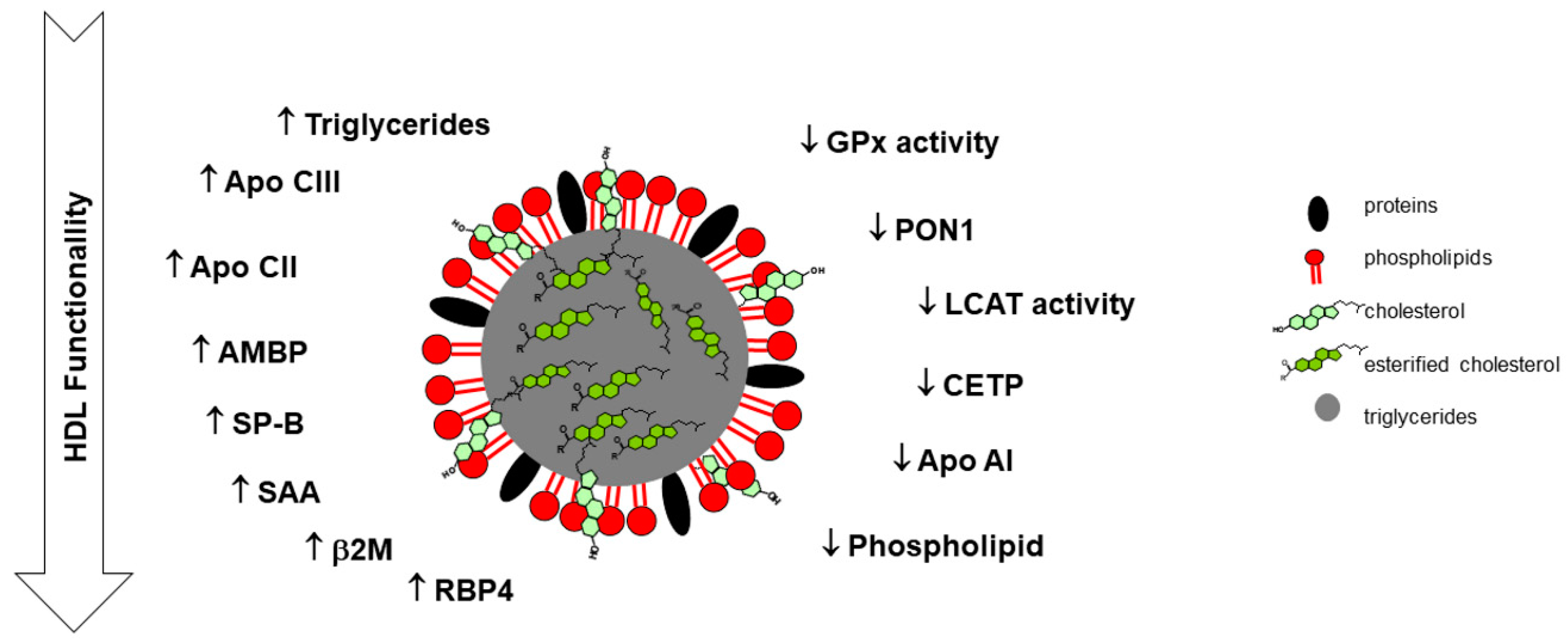 Biomedicines 09 00554 g002