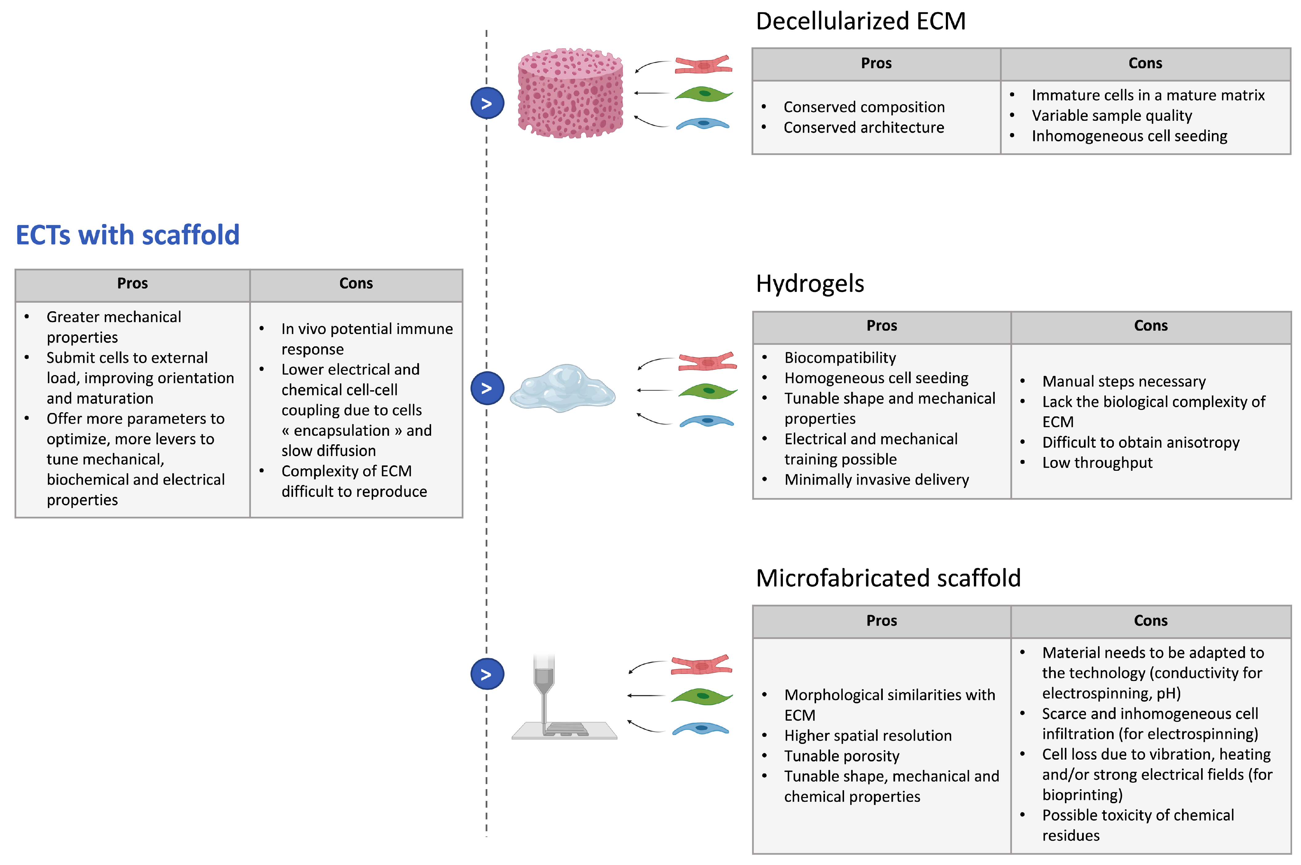 Biomedicines 09 00563 g002 Biomedicines 09 00563 g002