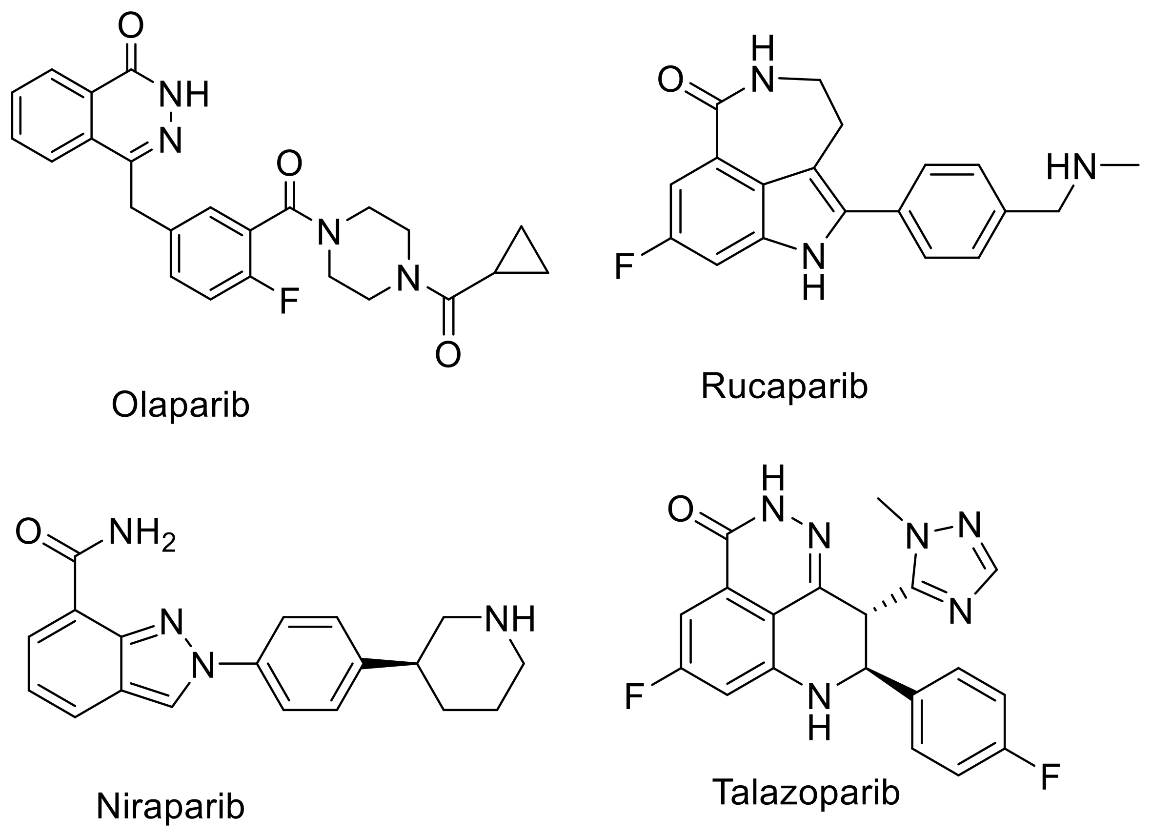 Biomedicines 09 00565 g001