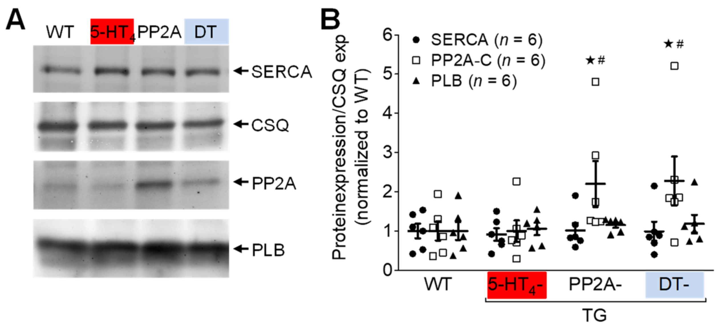Biomedicines 09 00569 g009 Biomedicines 09 00569 g009