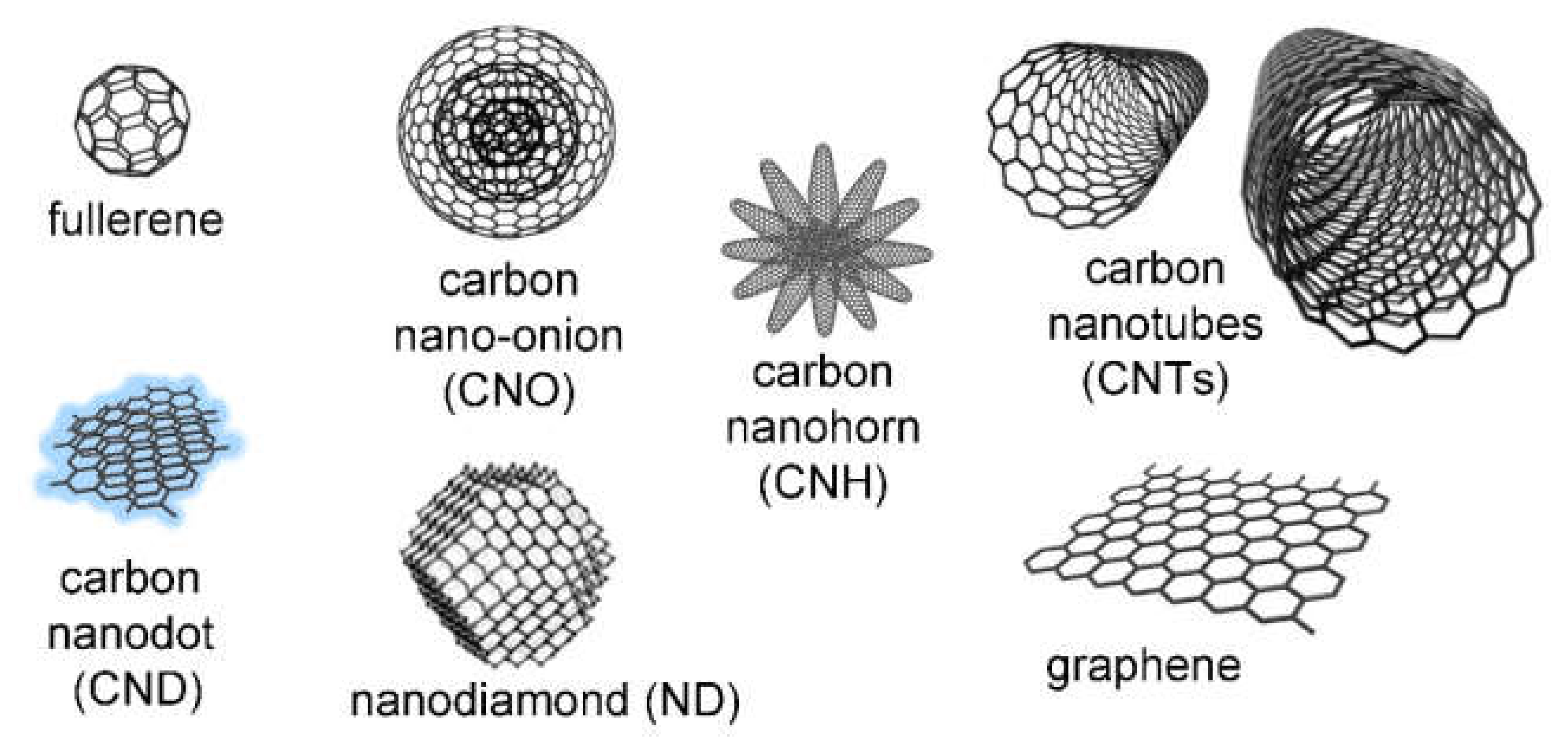 Biomedicines 09 00570 g001 Biomedicines 09 00570 g001