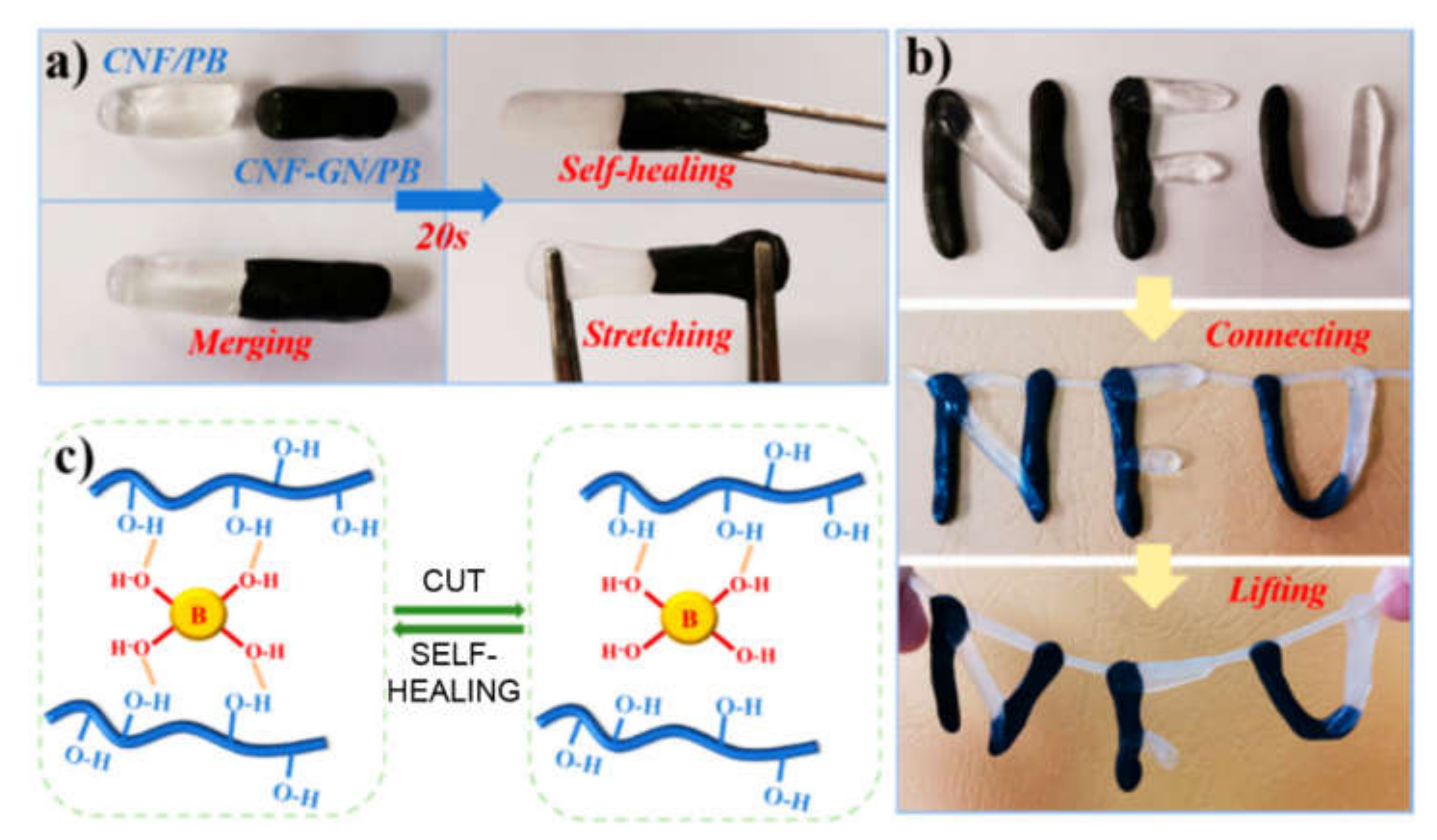 Biomedicines 09 00570 g003 Biomedicines 09 00570 g003