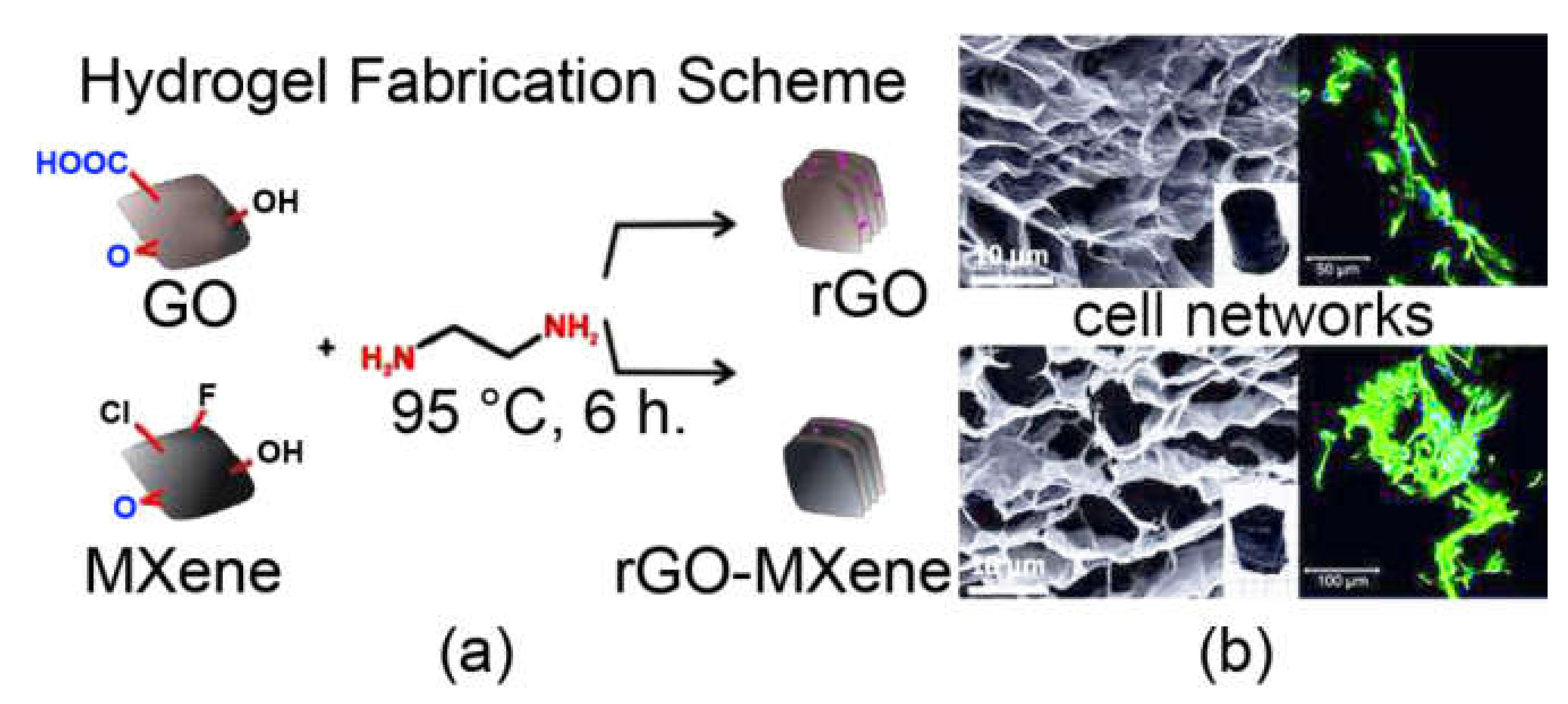 Biomedicines 09 00570 g004 Biomedicines 09 00570 g004