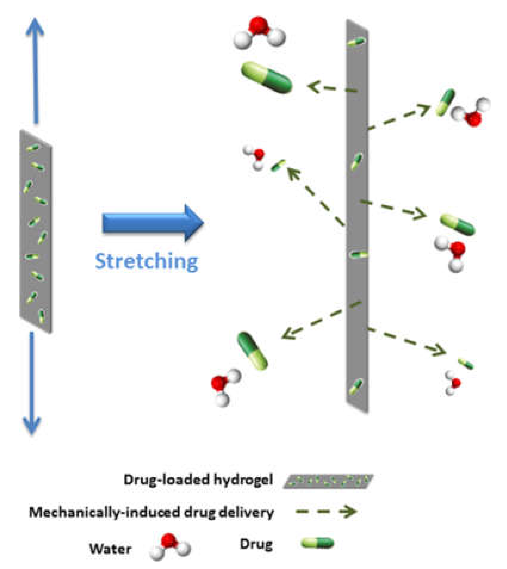 Biomedicines 09 00570 g005 Biomedicines 09 00570 g005