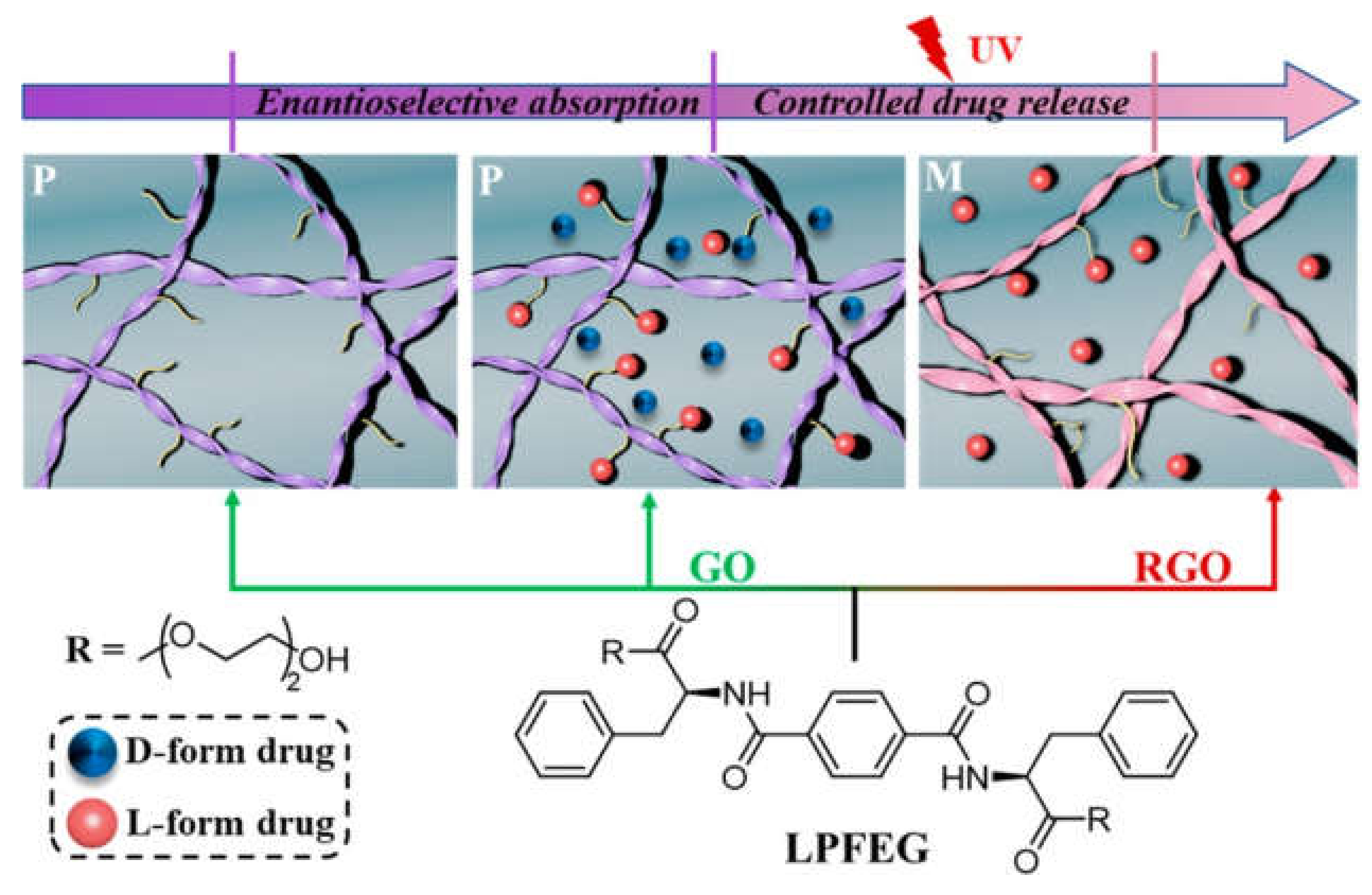Biomedicines 09 00570 g006 Biomedicines 09 00570 g006