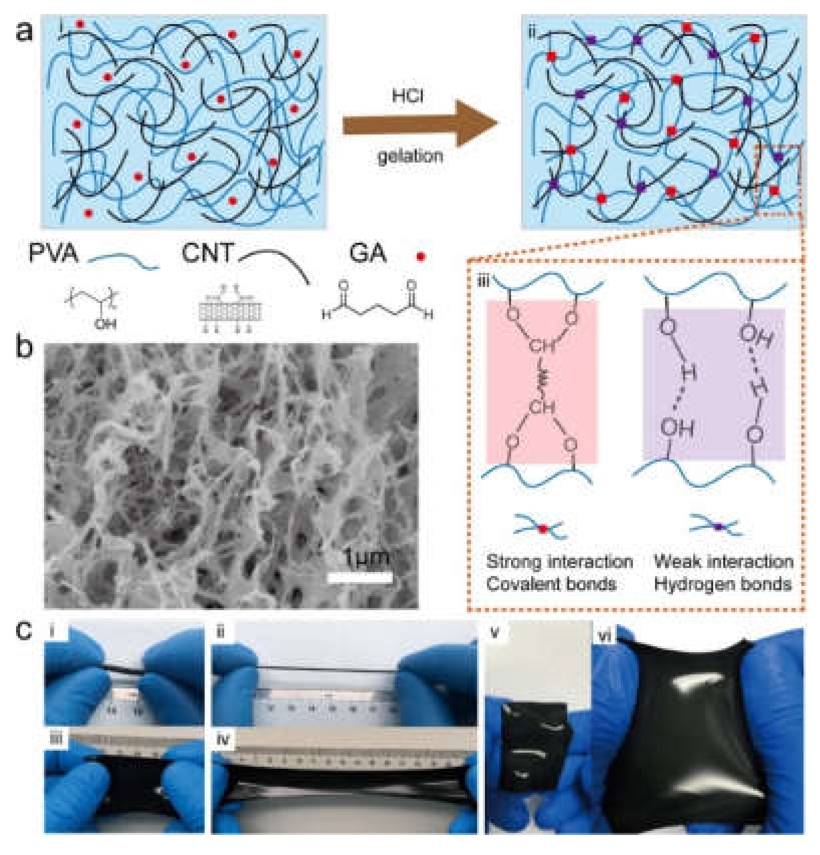 Biomedicines 09 00570 g007 Biomedicines 09 00570 g007