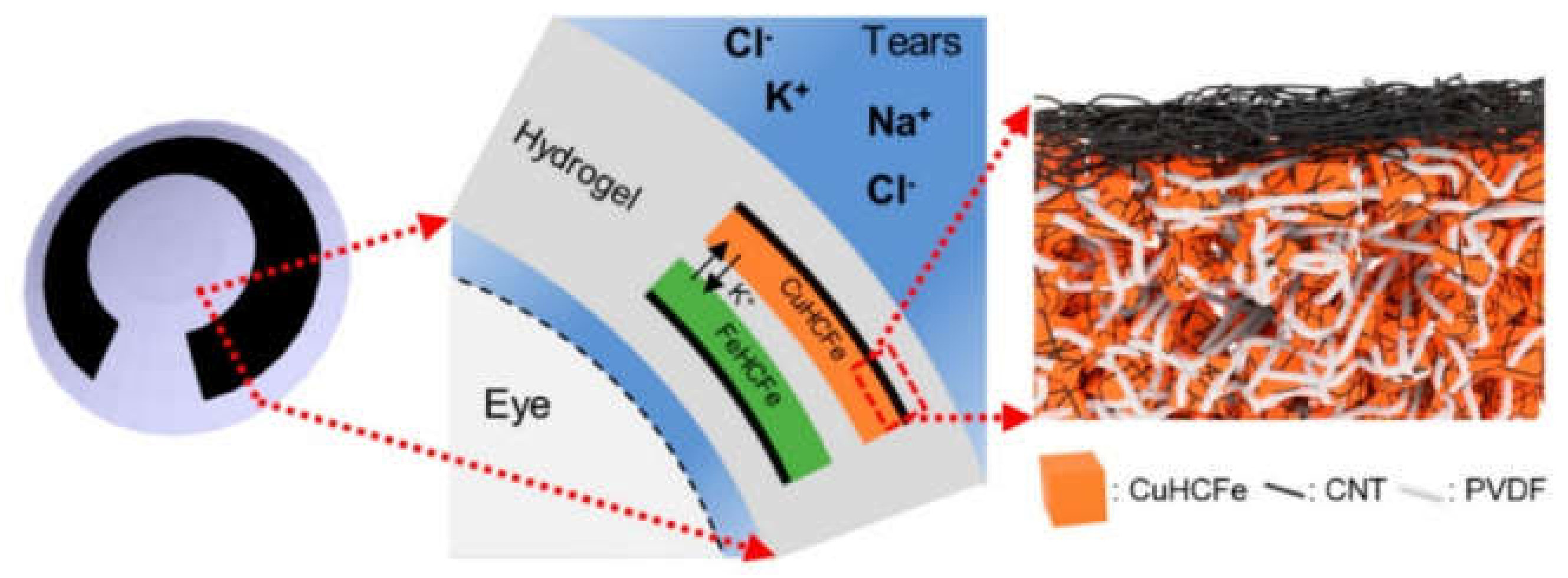 Biomedicines 09 00570 g008 Biomedicines 09 00570 g008