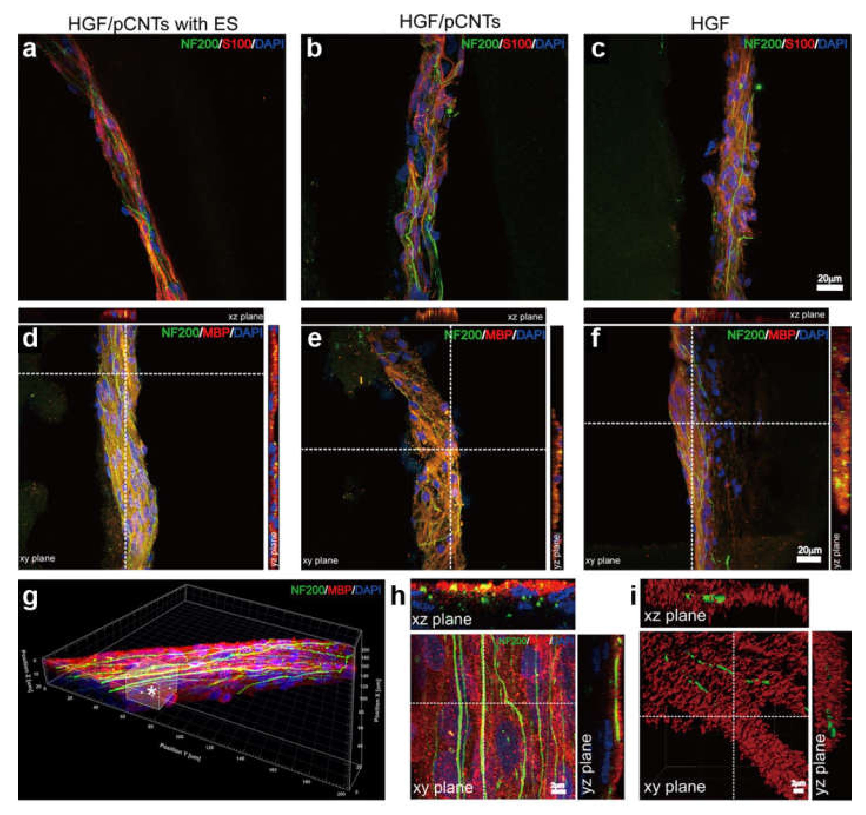 Biomedicines 09 00570 g009 Biomedicines 09 00570 g009