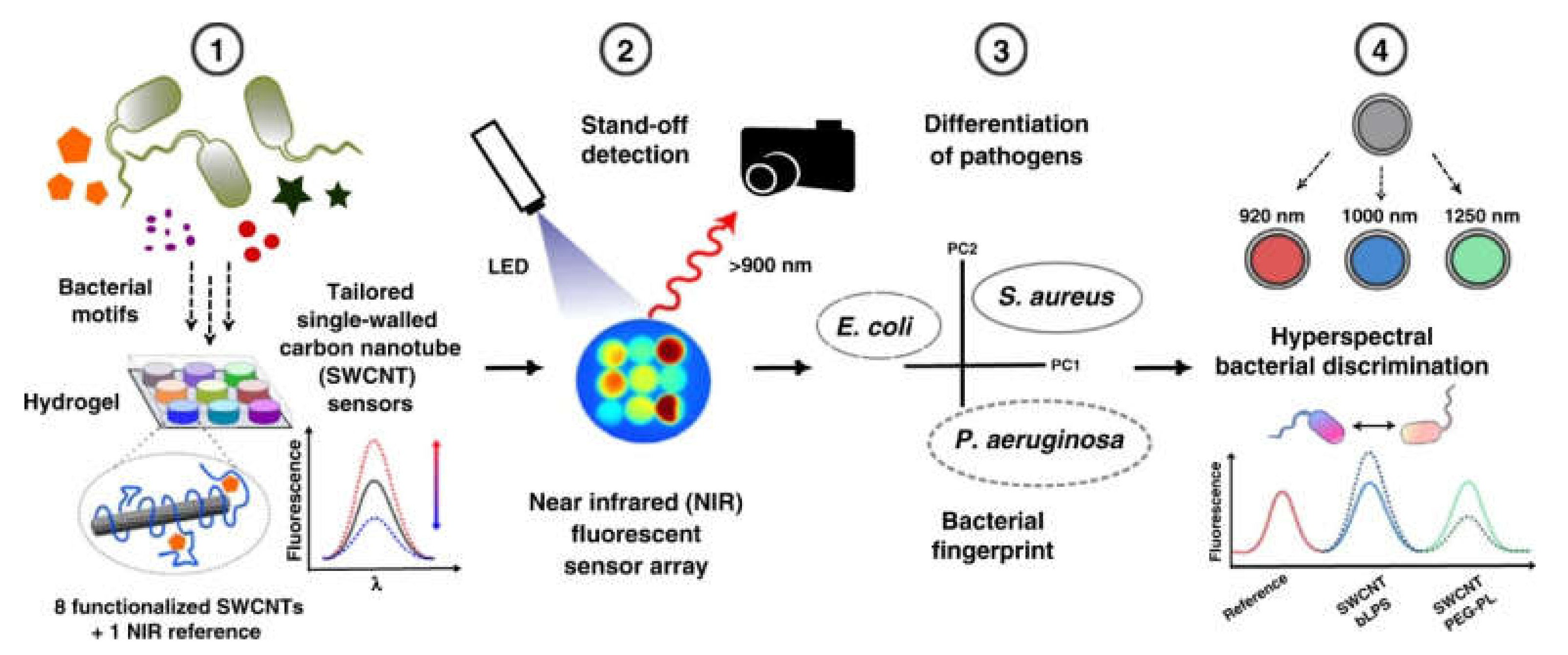 Biomedicines 09 00570 g010 Biomedicines 09 00570 g010