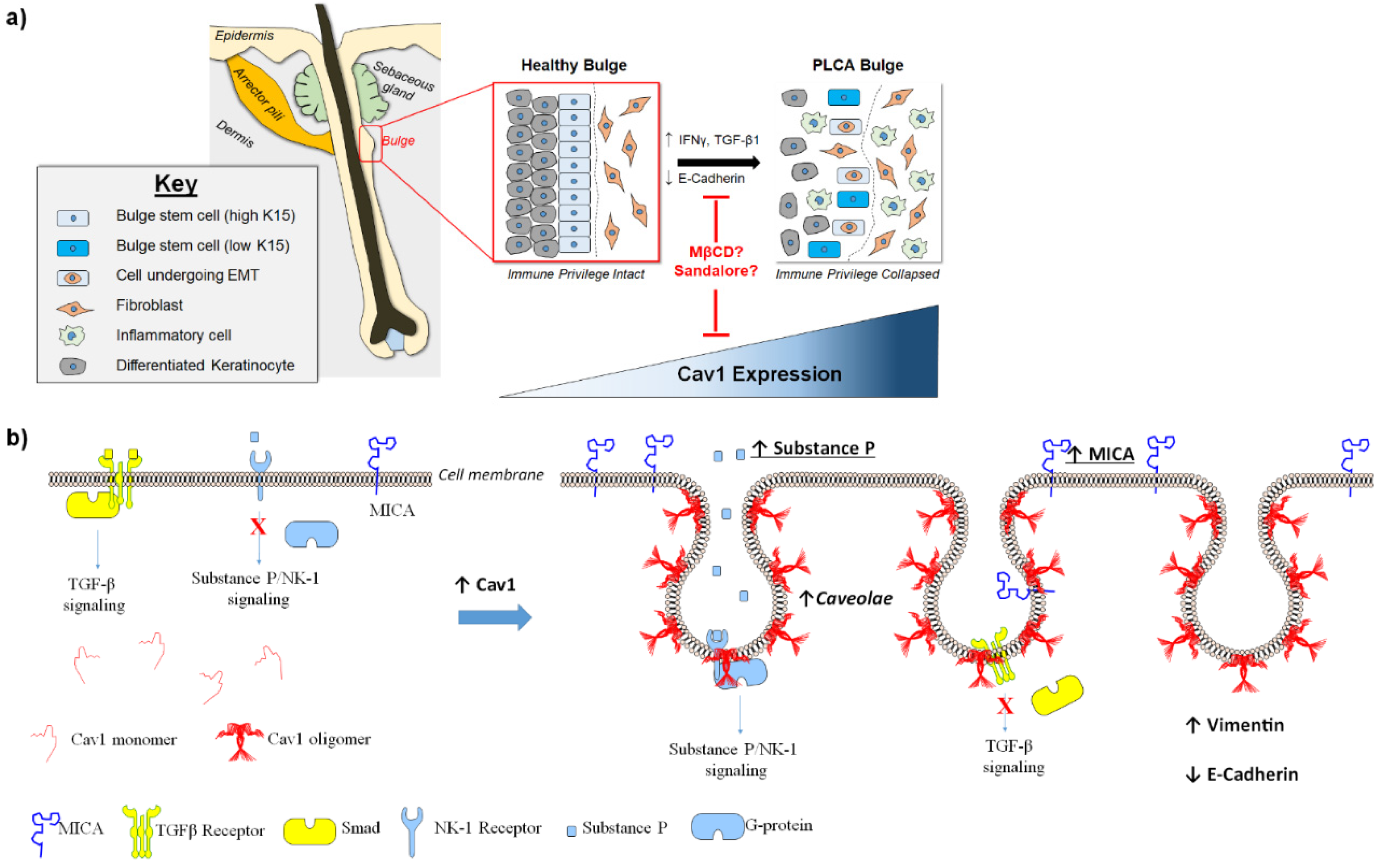 Biomedicines 09 00572 g001 Biomedicines 09 00572 g001